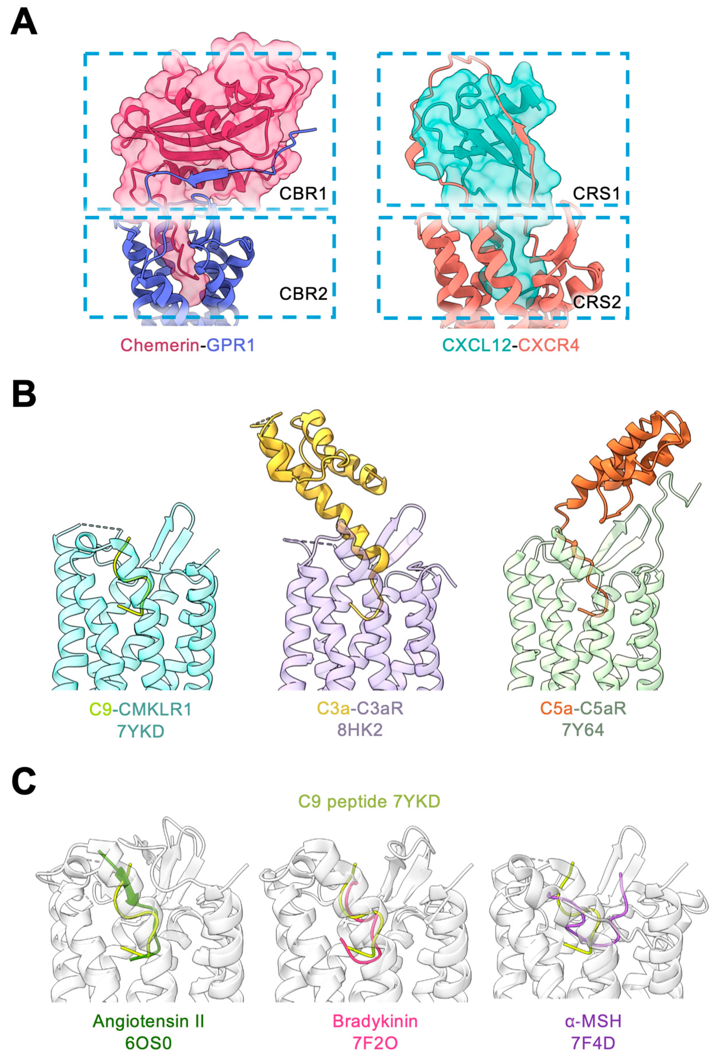 Biomedicines 12 02470 g005