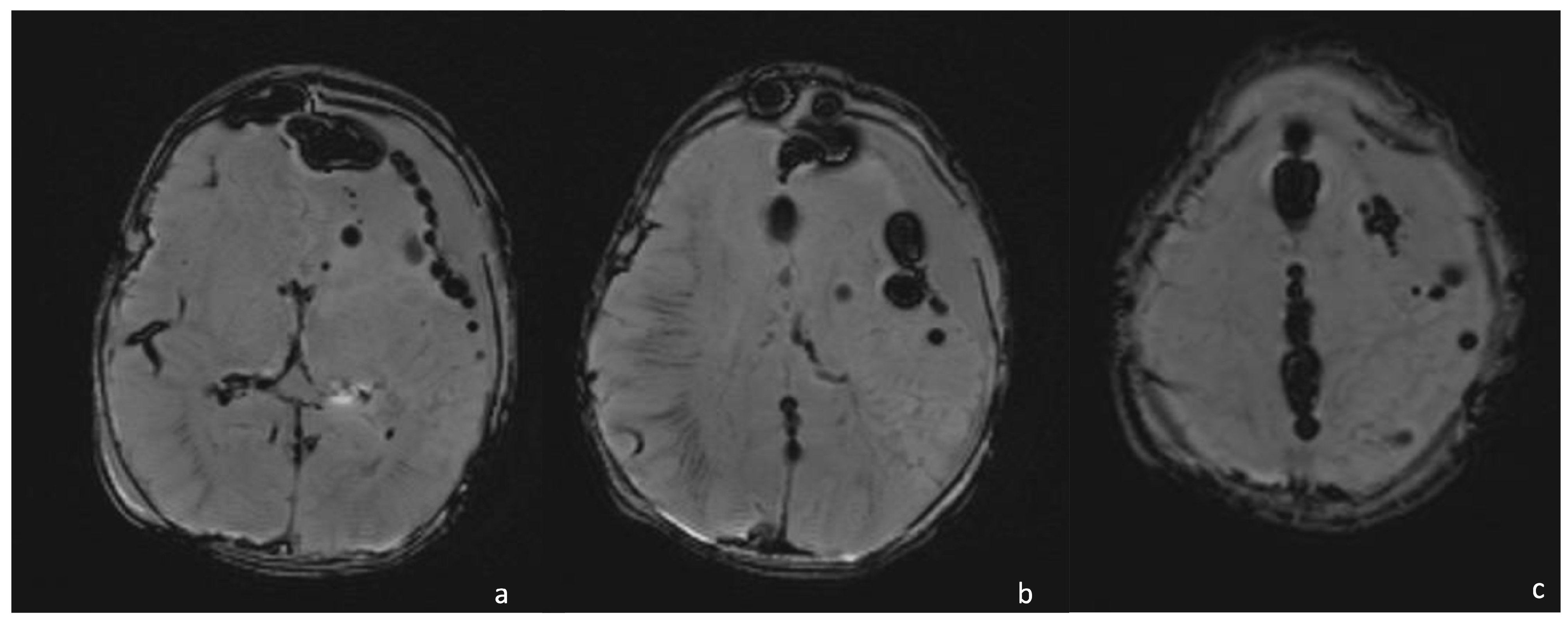 Biomedicines 12 02490 g012
