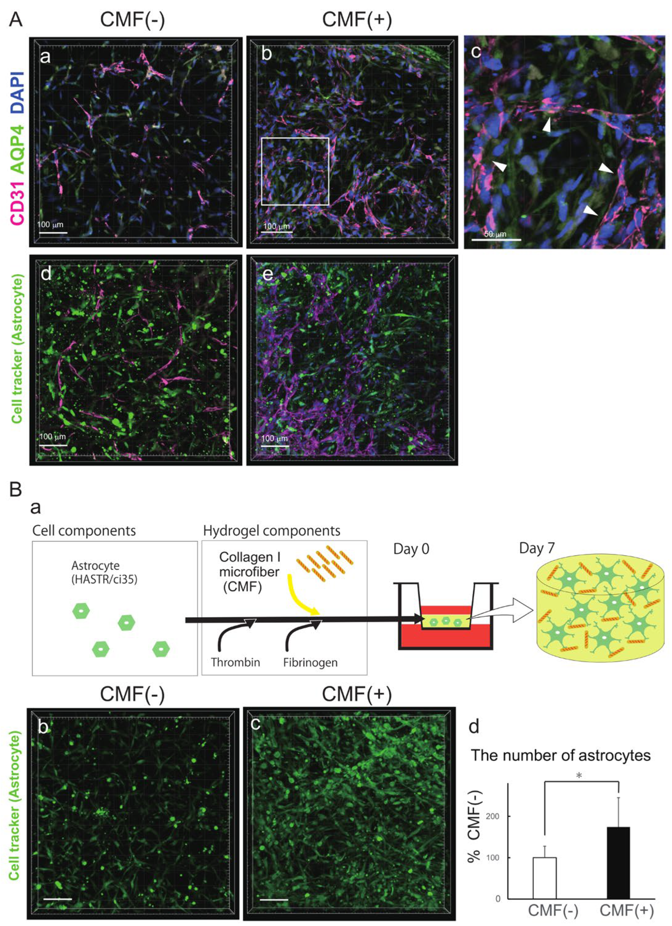 Biomedicines 12 02500 g002