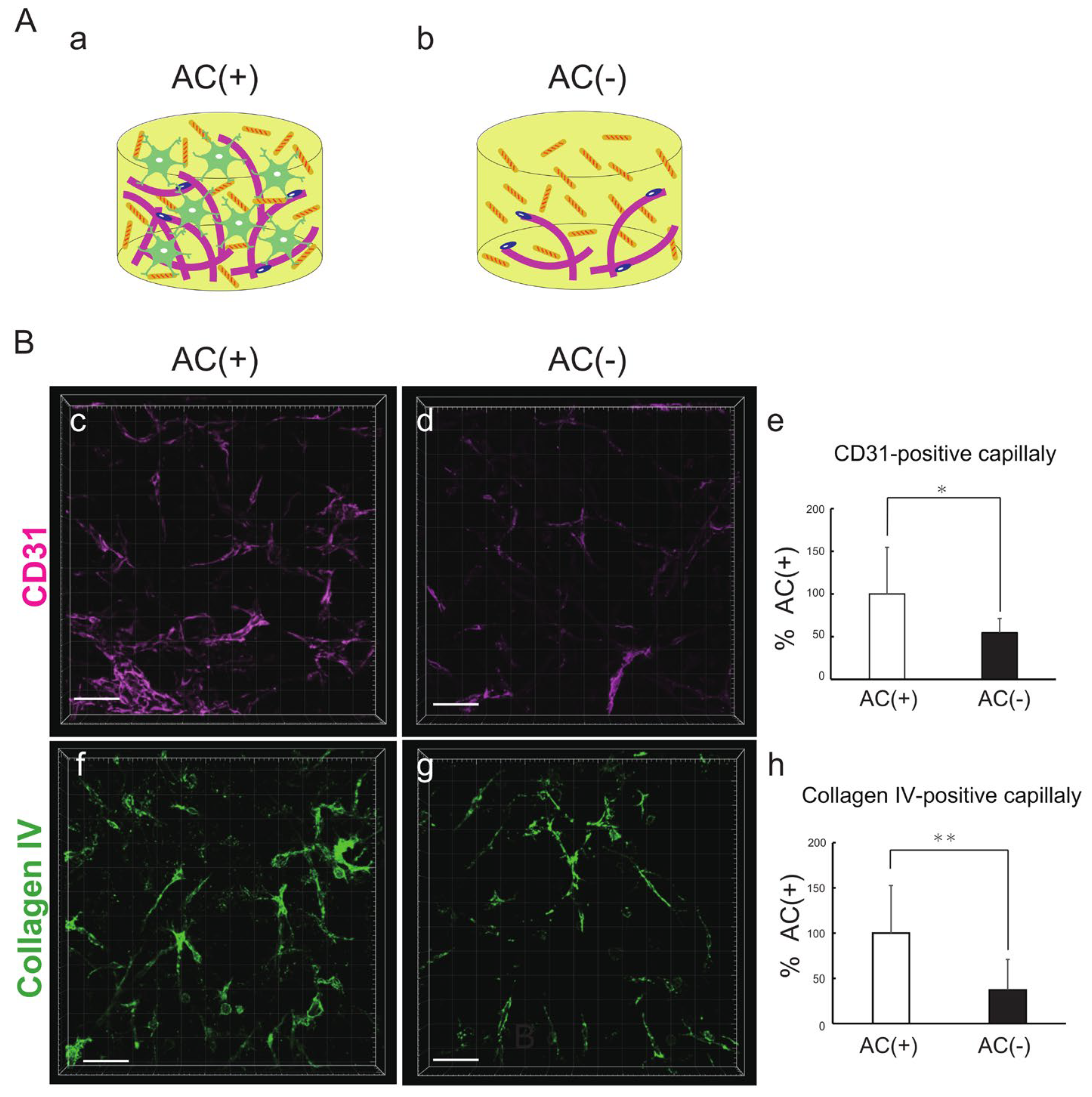 Biomedicines 12 02500 g003