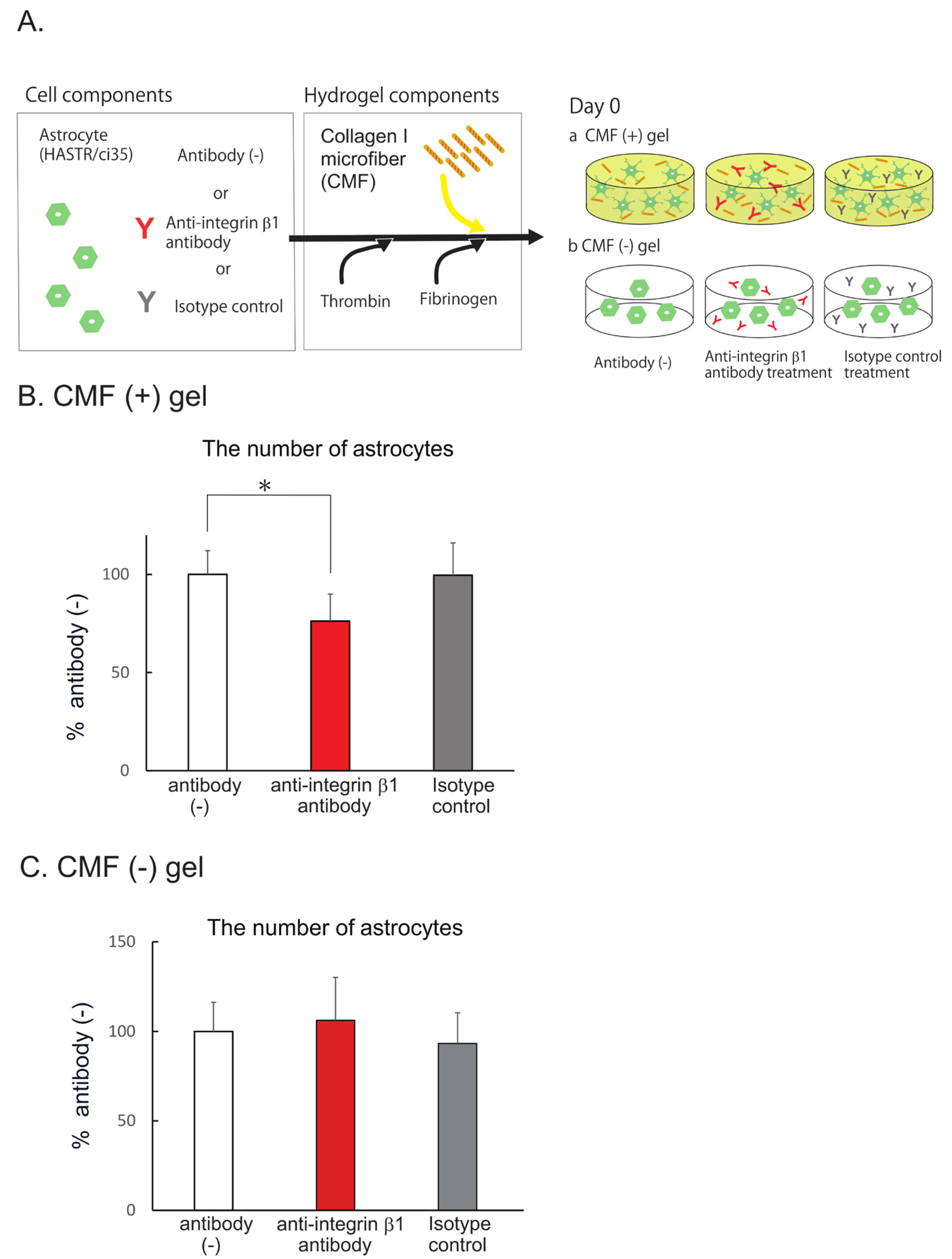 Biomedicines 12 02500 g004