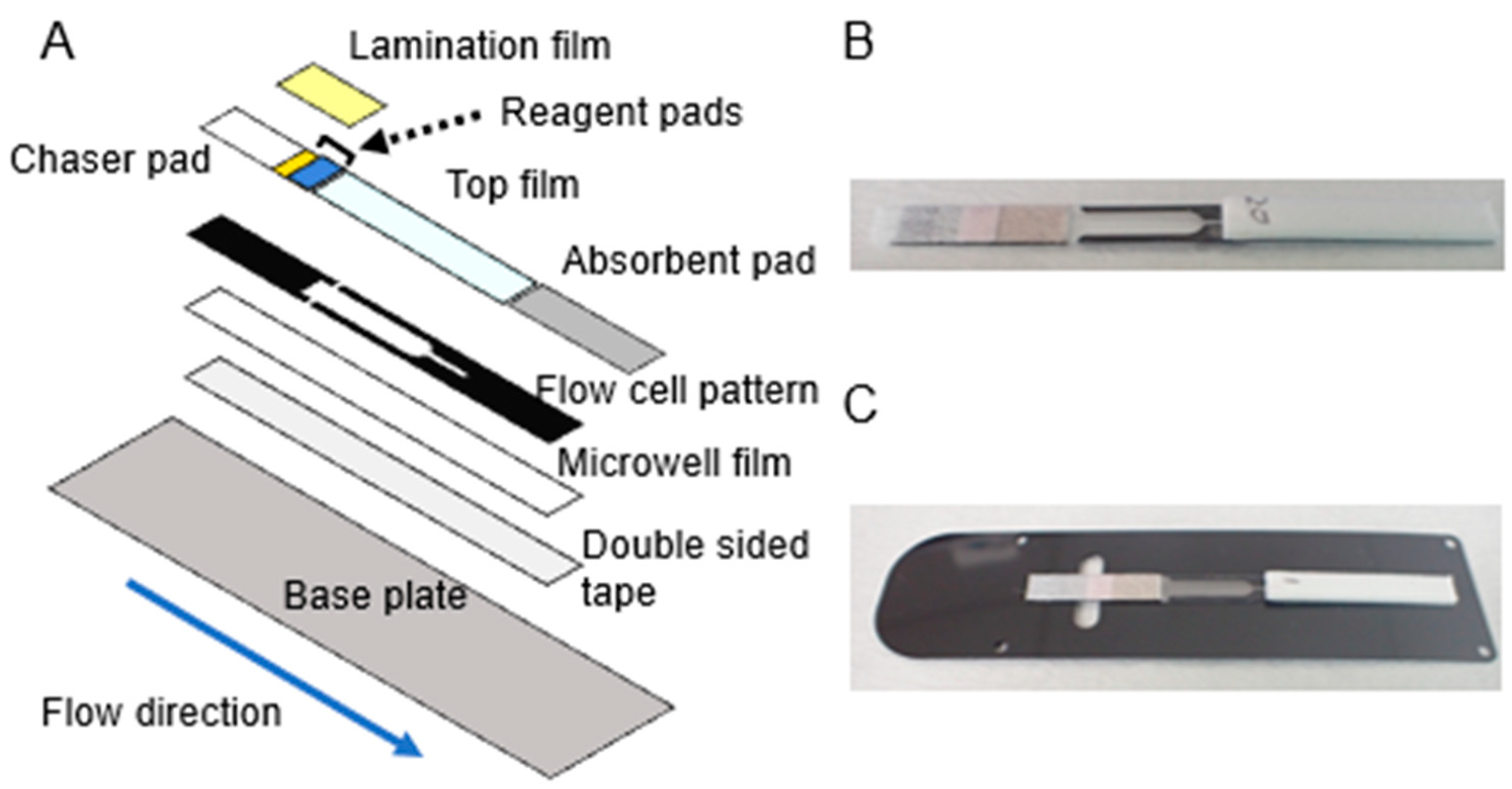 Biomedicines 12 02517 g001