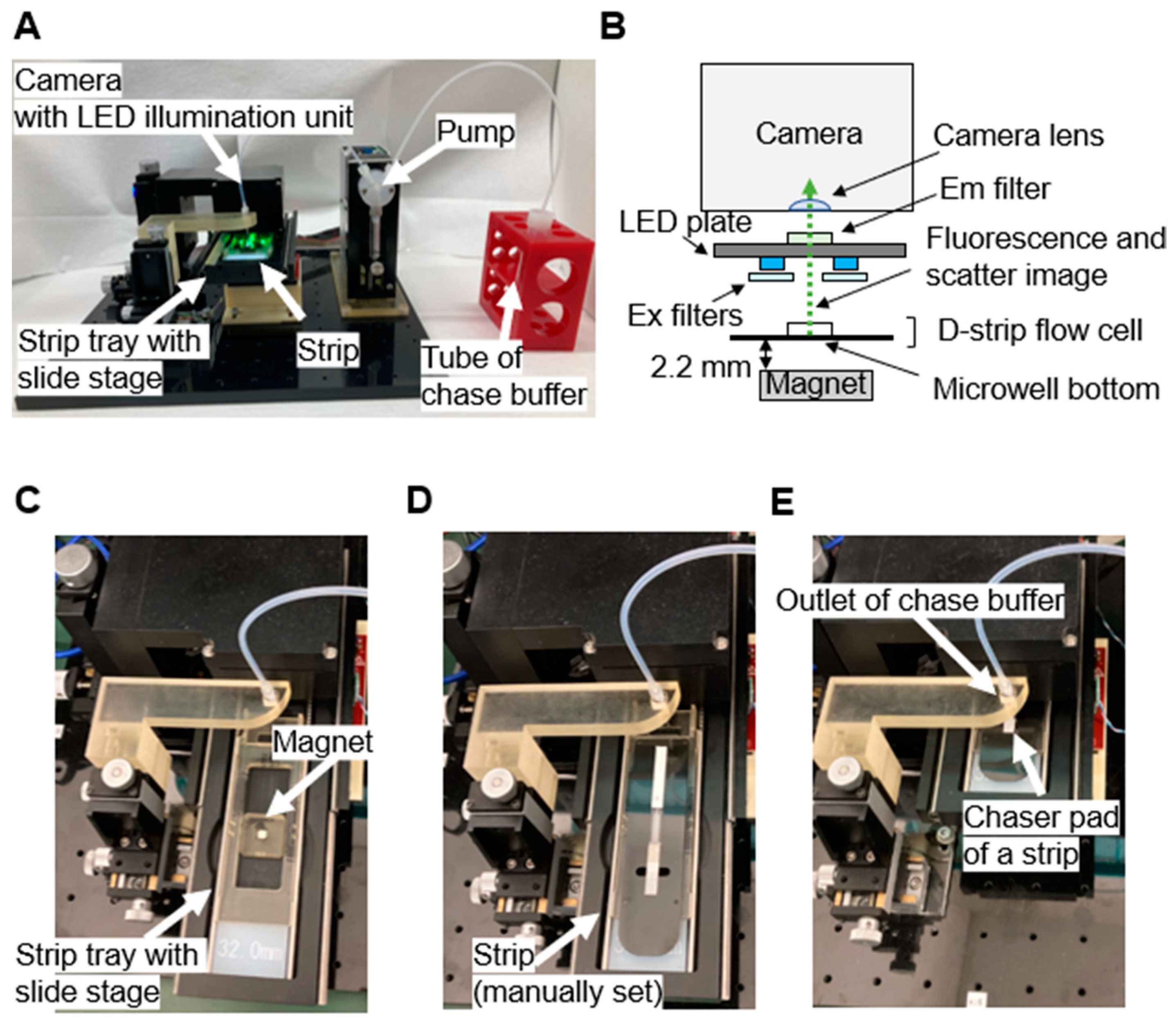 Biomedicines 12 02517 g002