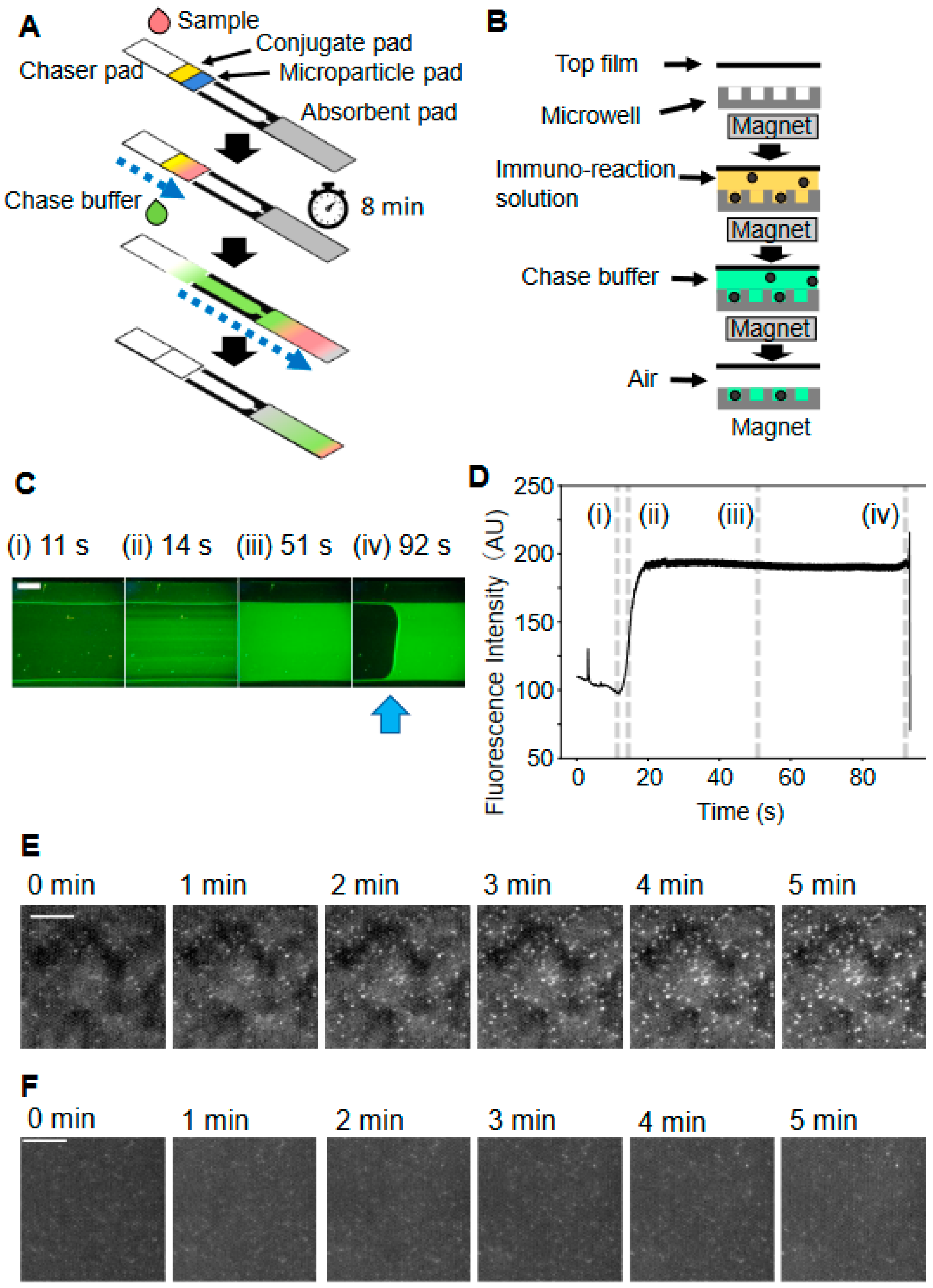 Biomedicines 12 02517 g003