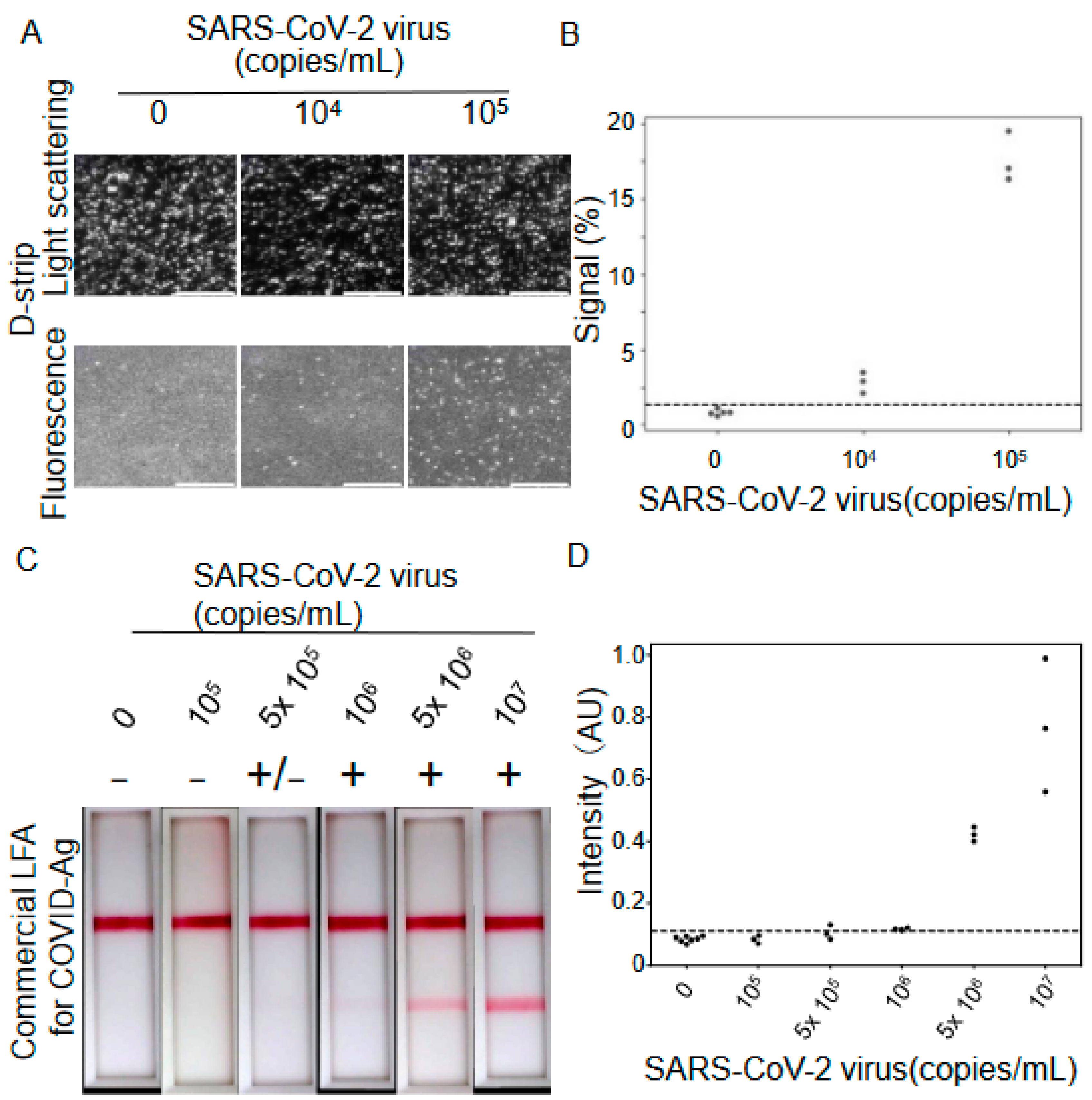 Biomedicines 12 02517 g004