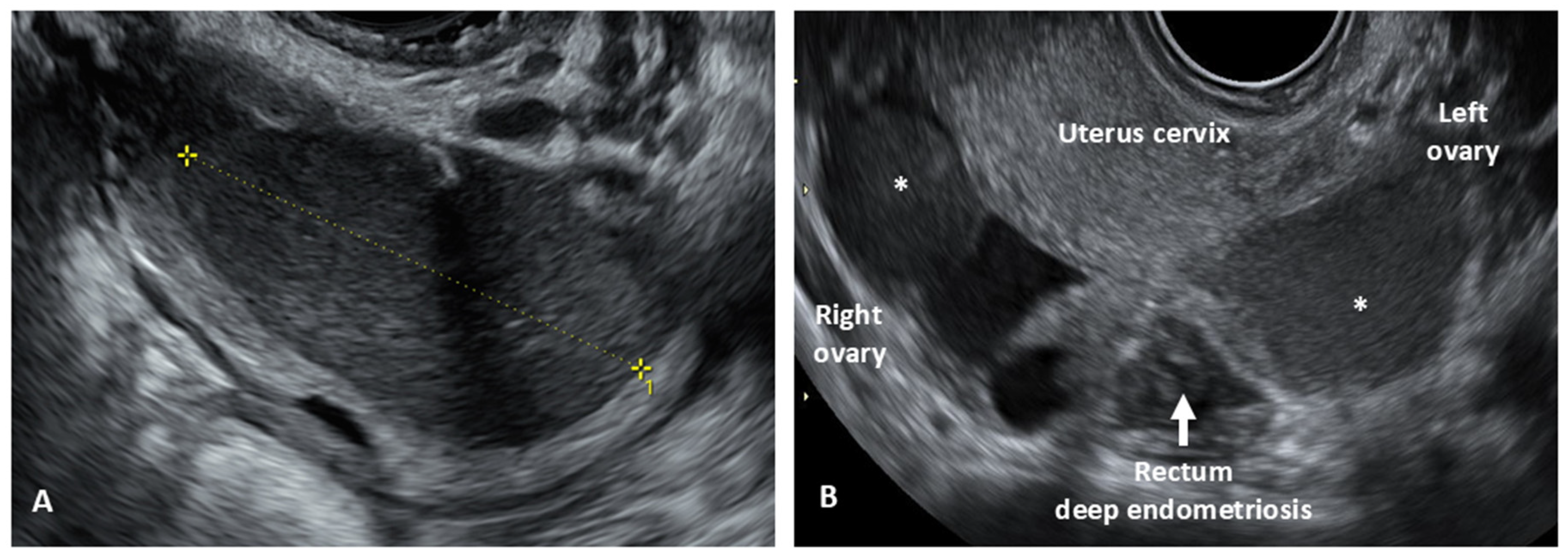 Biomedicines 12 02521 g001