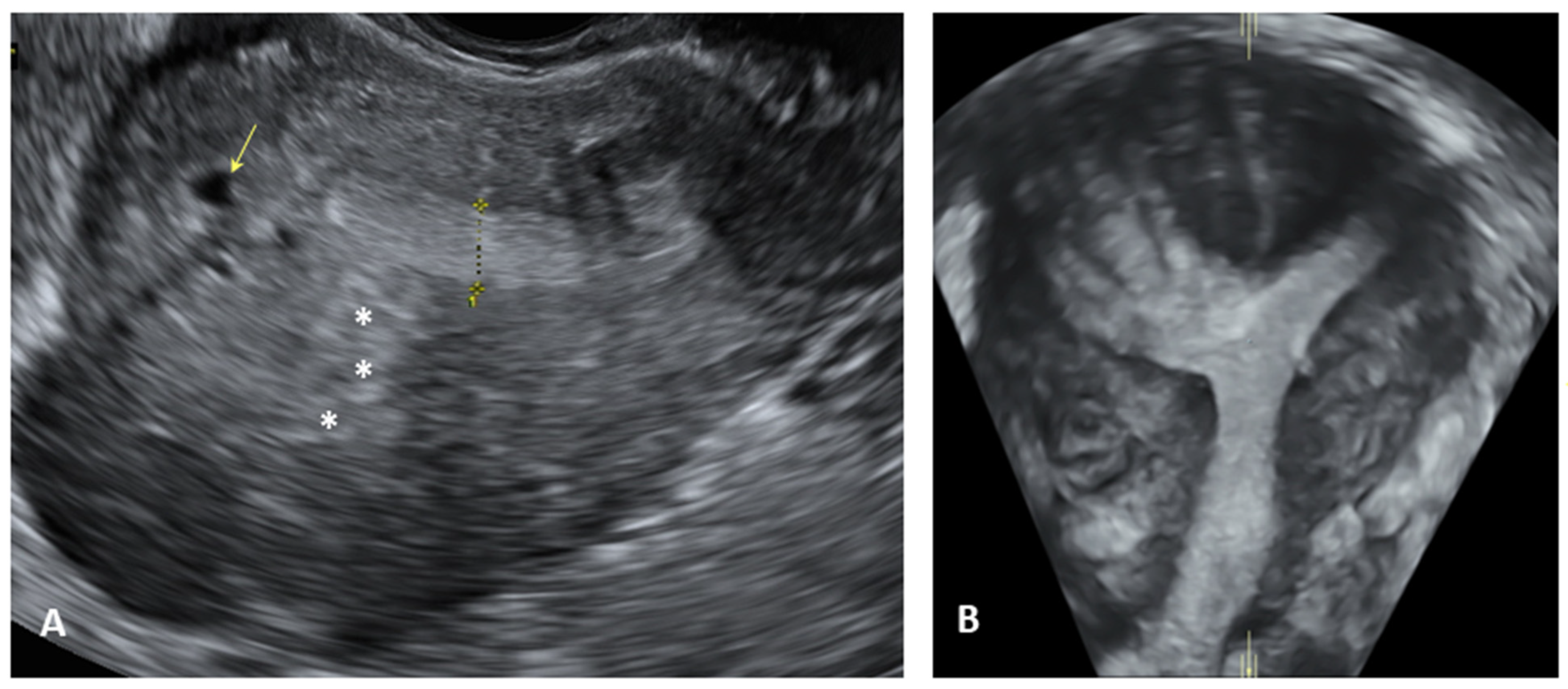 Biomedicines 12 02521 g003