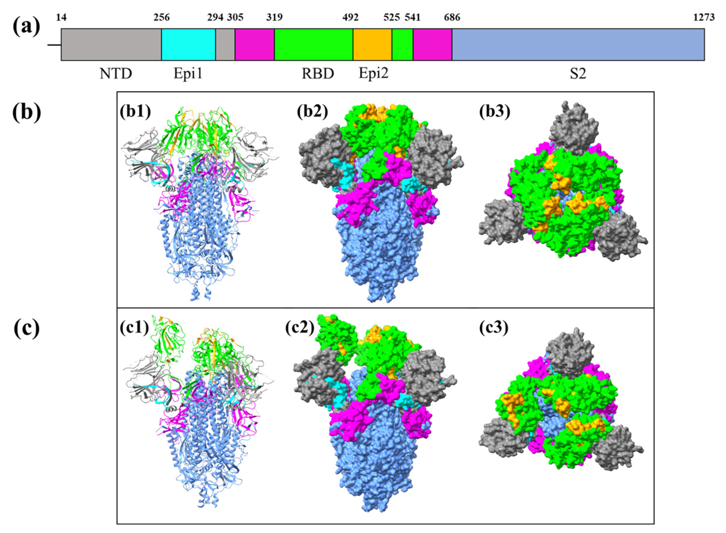 Biomedicines 12 02530 g003