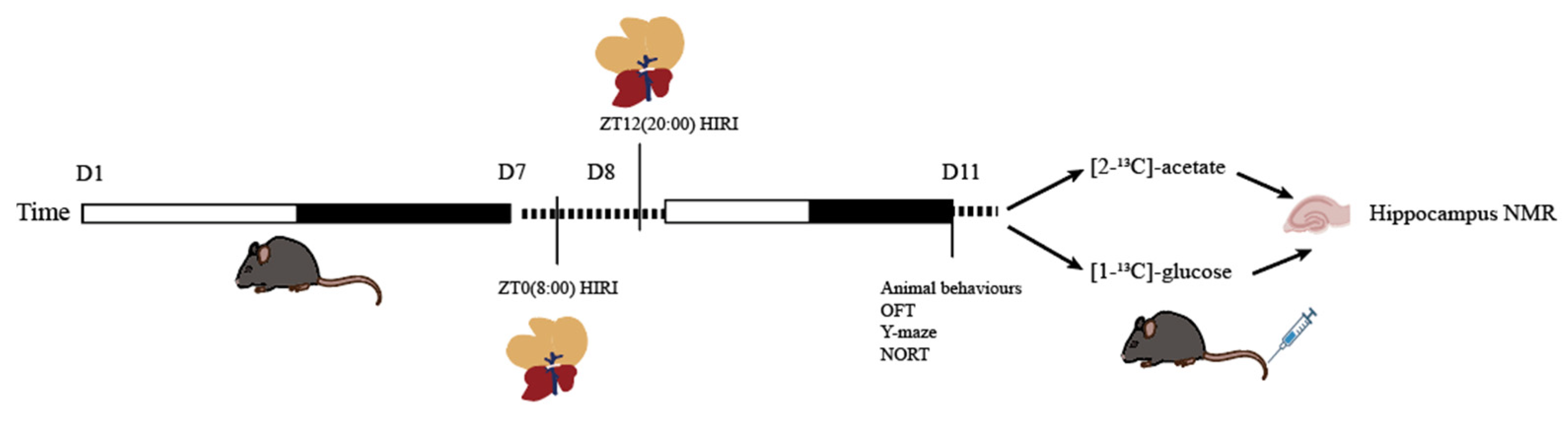 Biomedicines 12 02536 g001