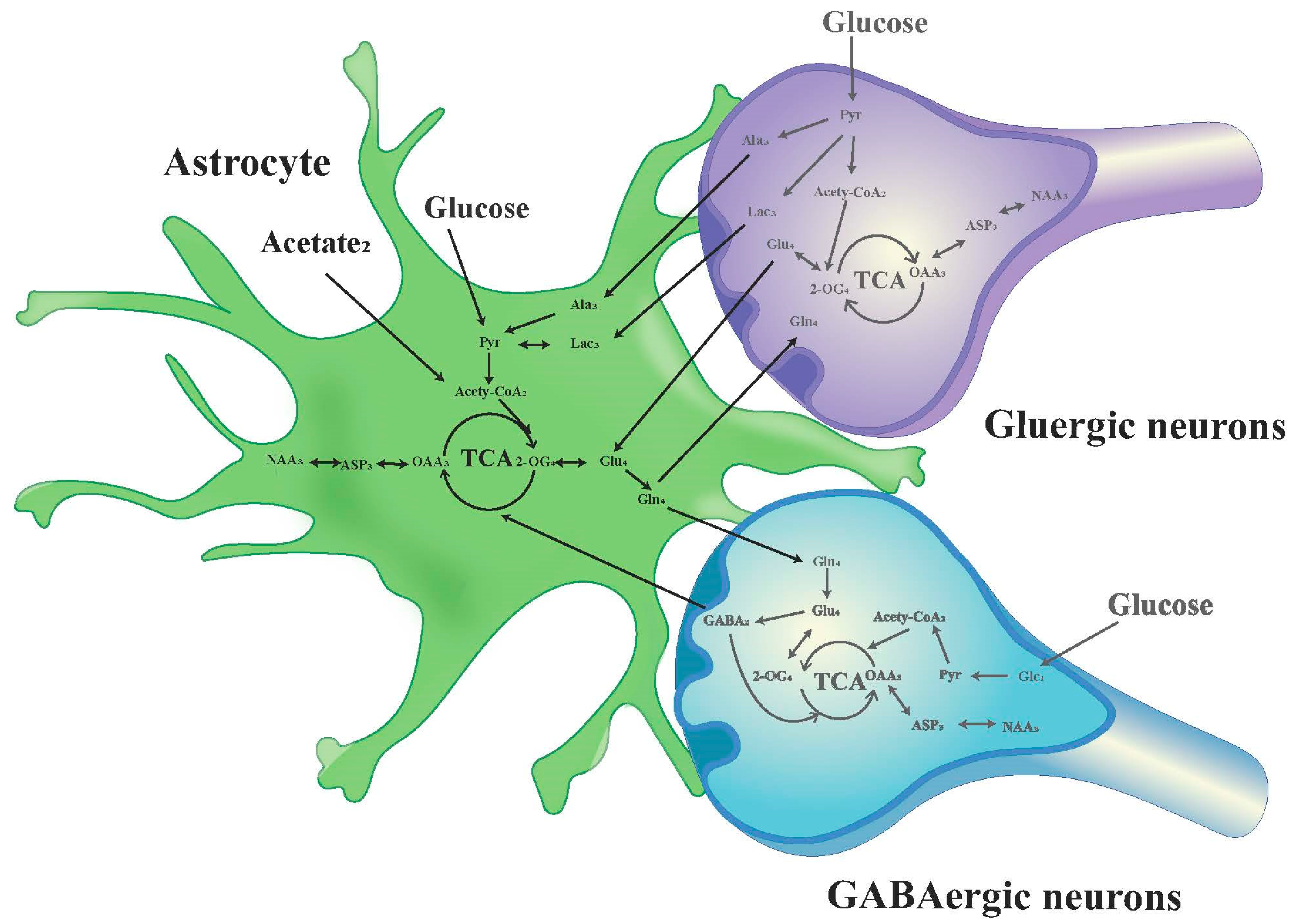 Biomedicines 12 02536 g003