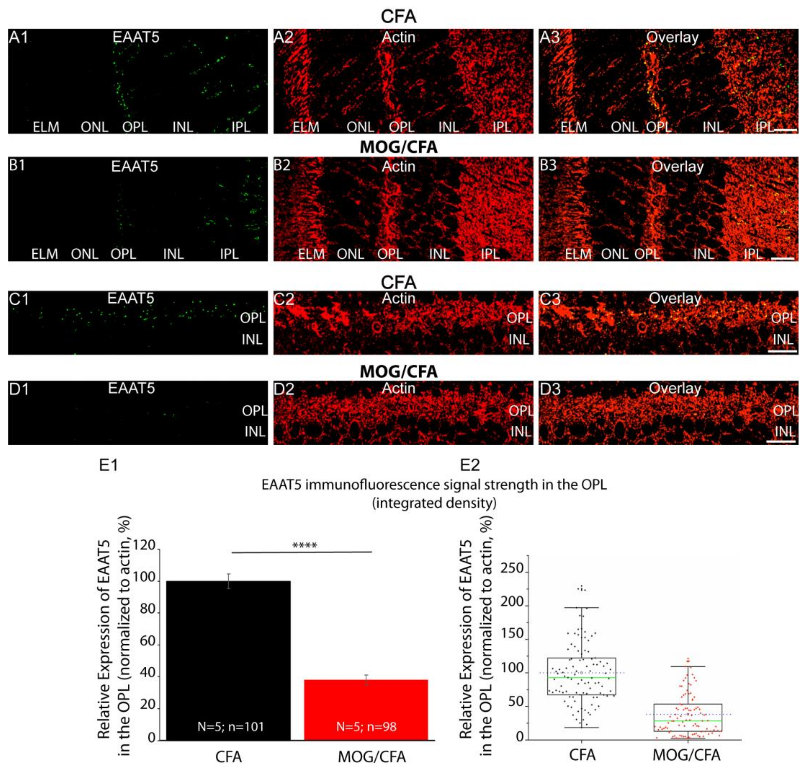 Biomedicines 12 02545 g002