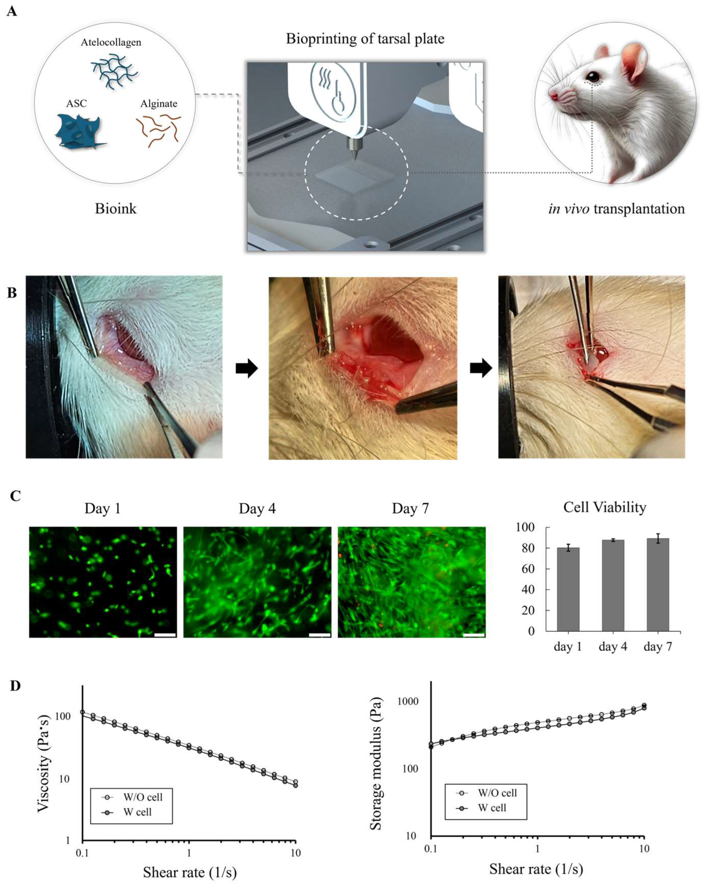 Biomedicines 12 02567 g001