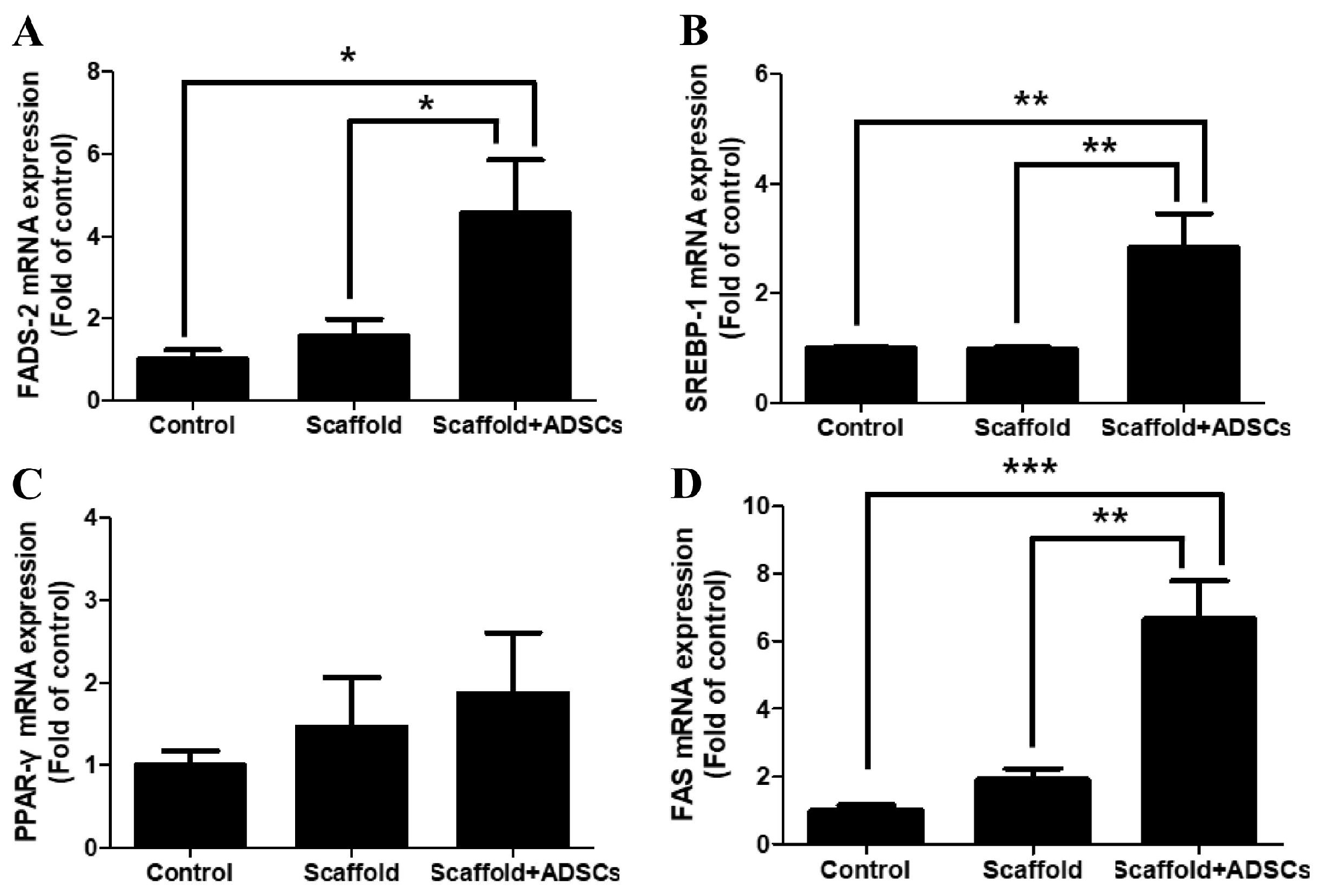 Biomedicines 12 02567 g006