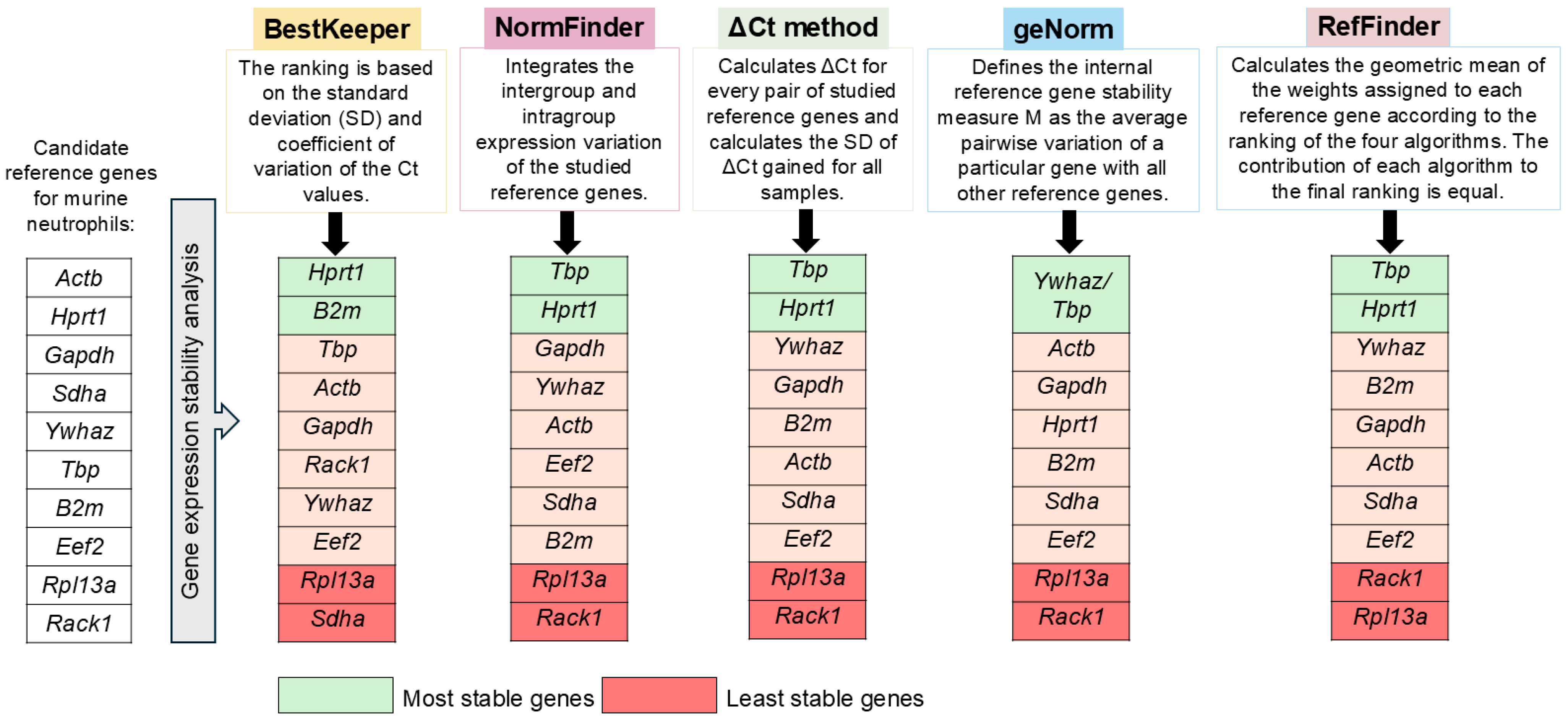 Biomedicines 12 02571 g006