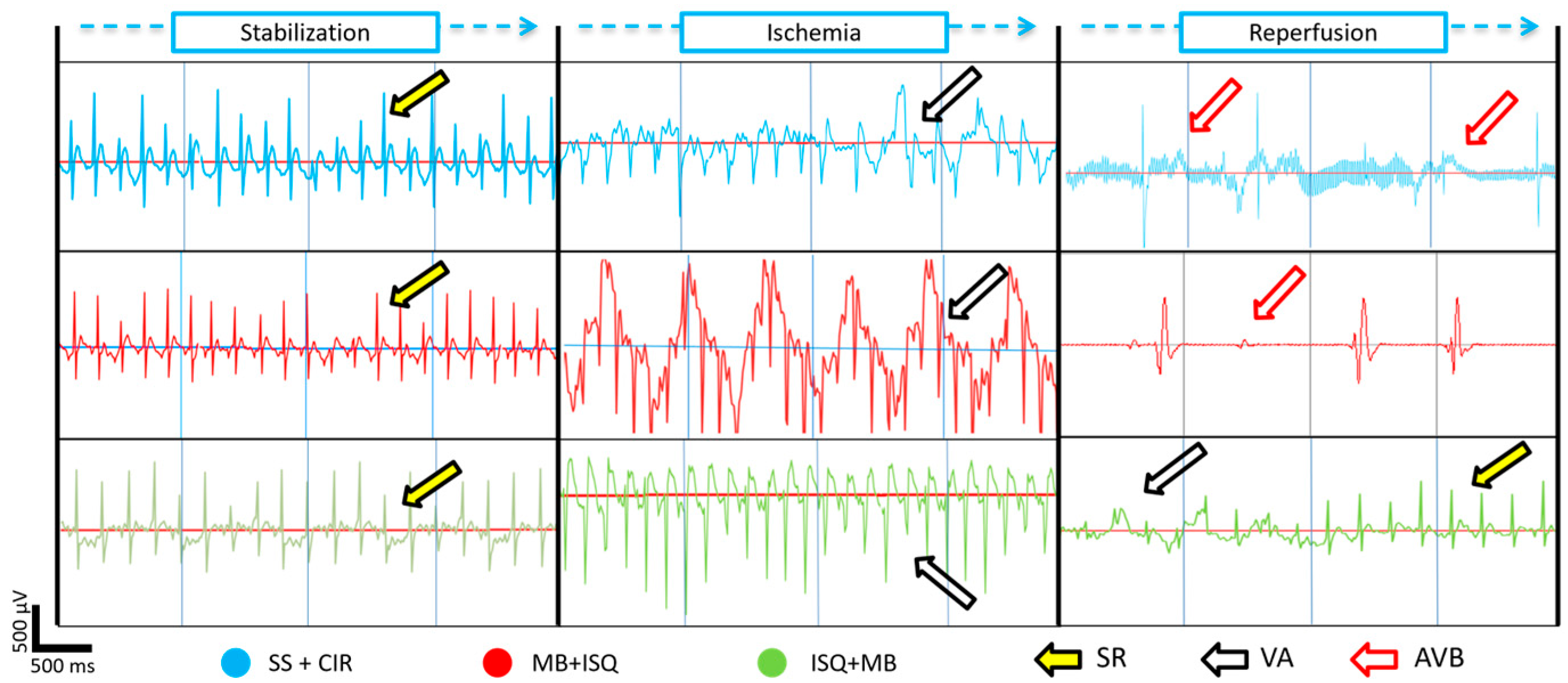 Biomedicines 12 02575 g002