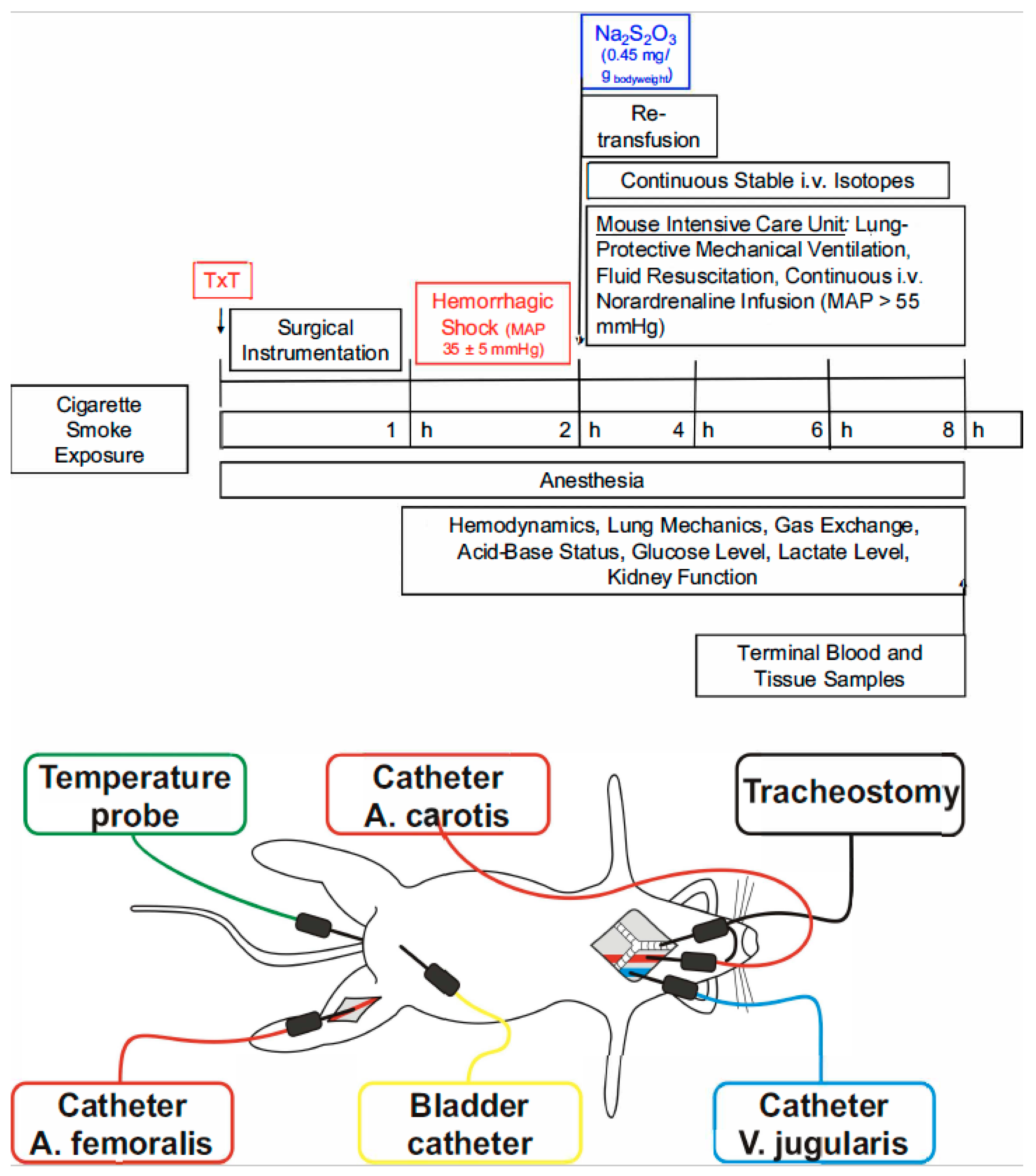 Biomedicines 12 02581 g001 Biomedicines 12 02581 g001