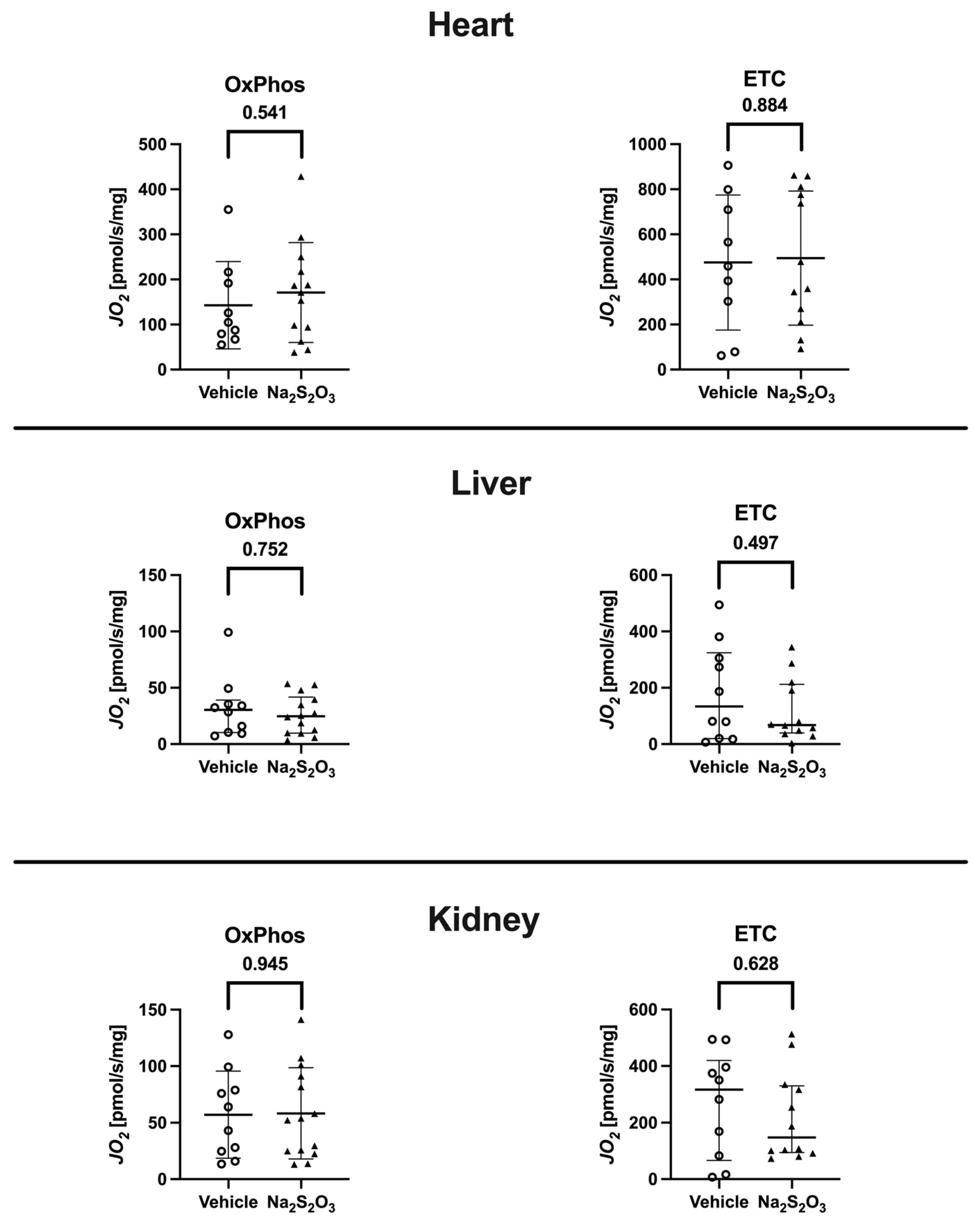 Biomedicines 12 02581 g004 Biomedicines 12 02581 g004