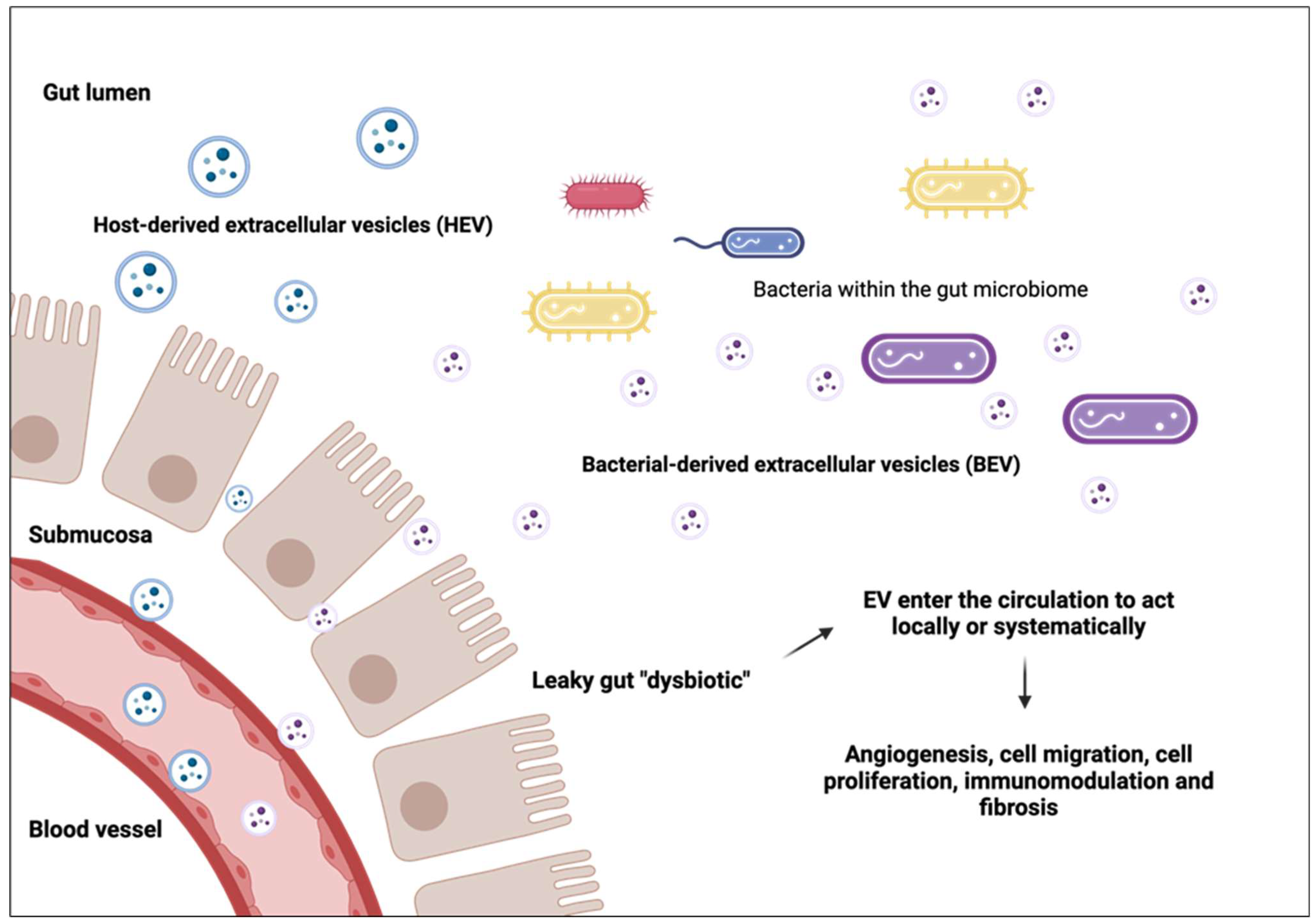 Biomedicines 12 02585 g002