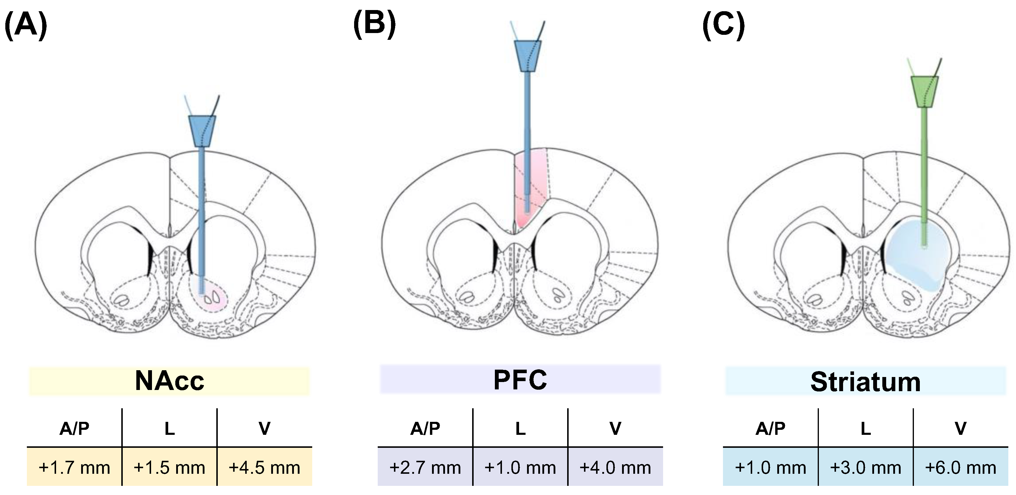 Biomedicines 12 02591 g001