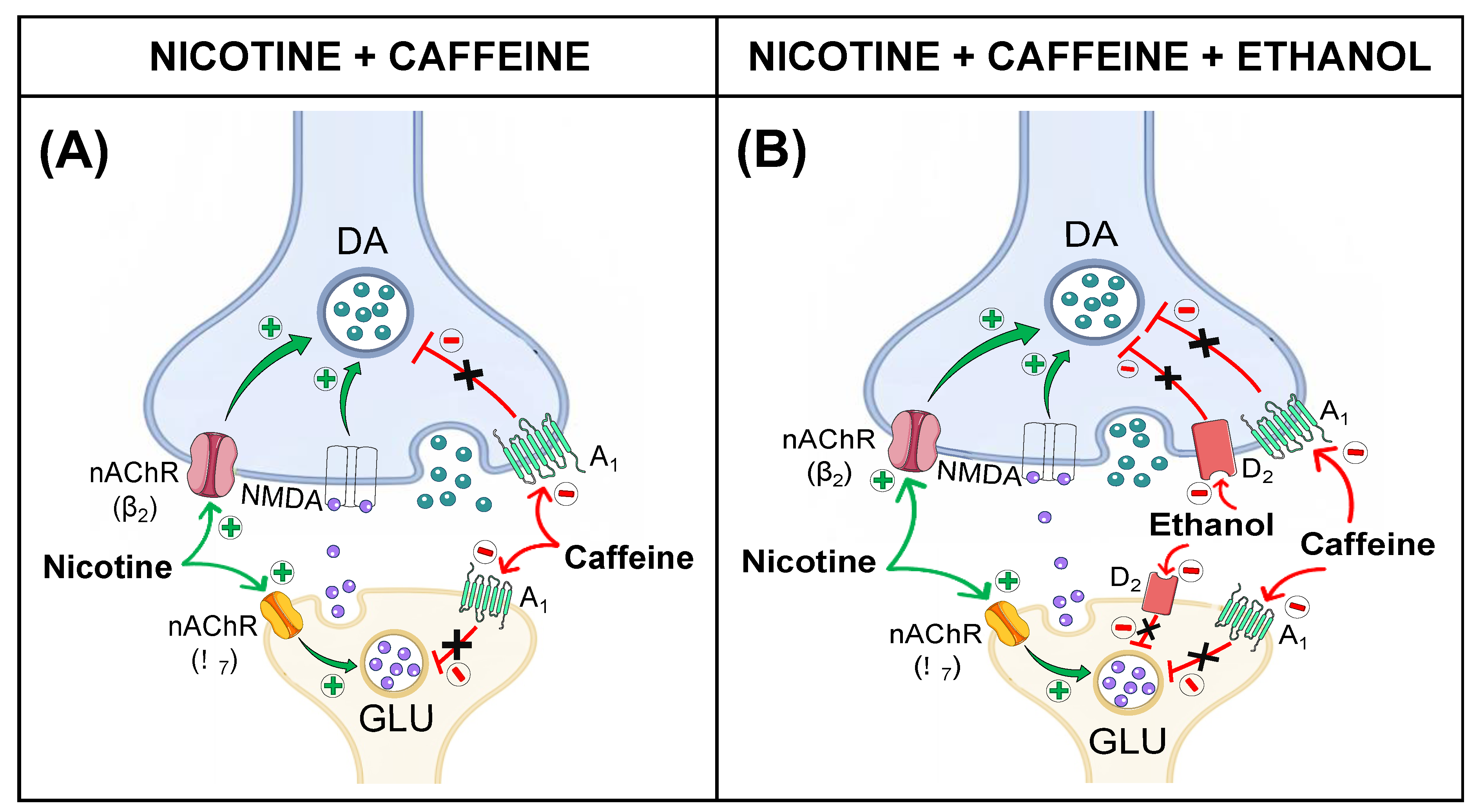 Biomedicines 12 02591 g007