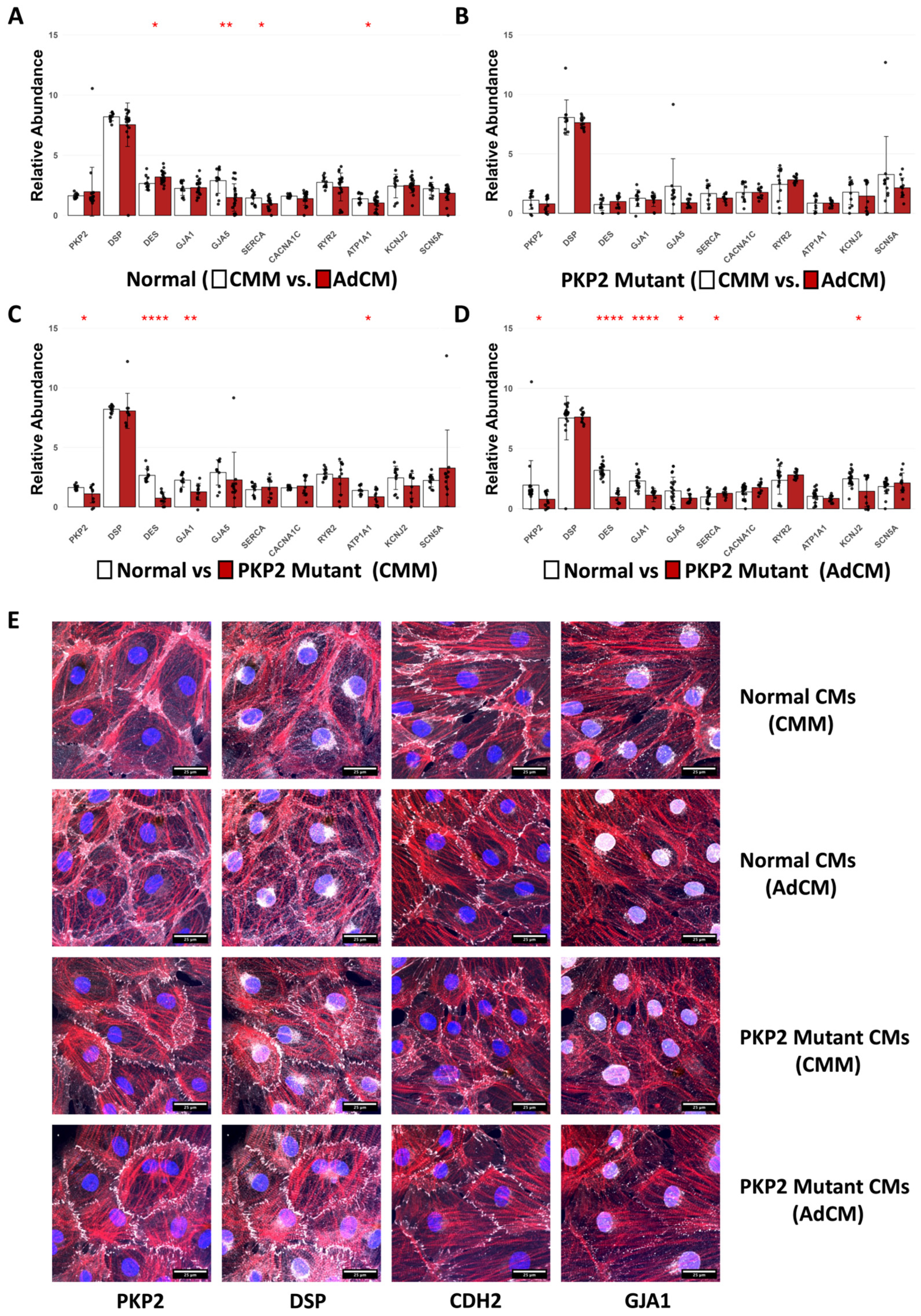 Biomedicines 12 02601 g001