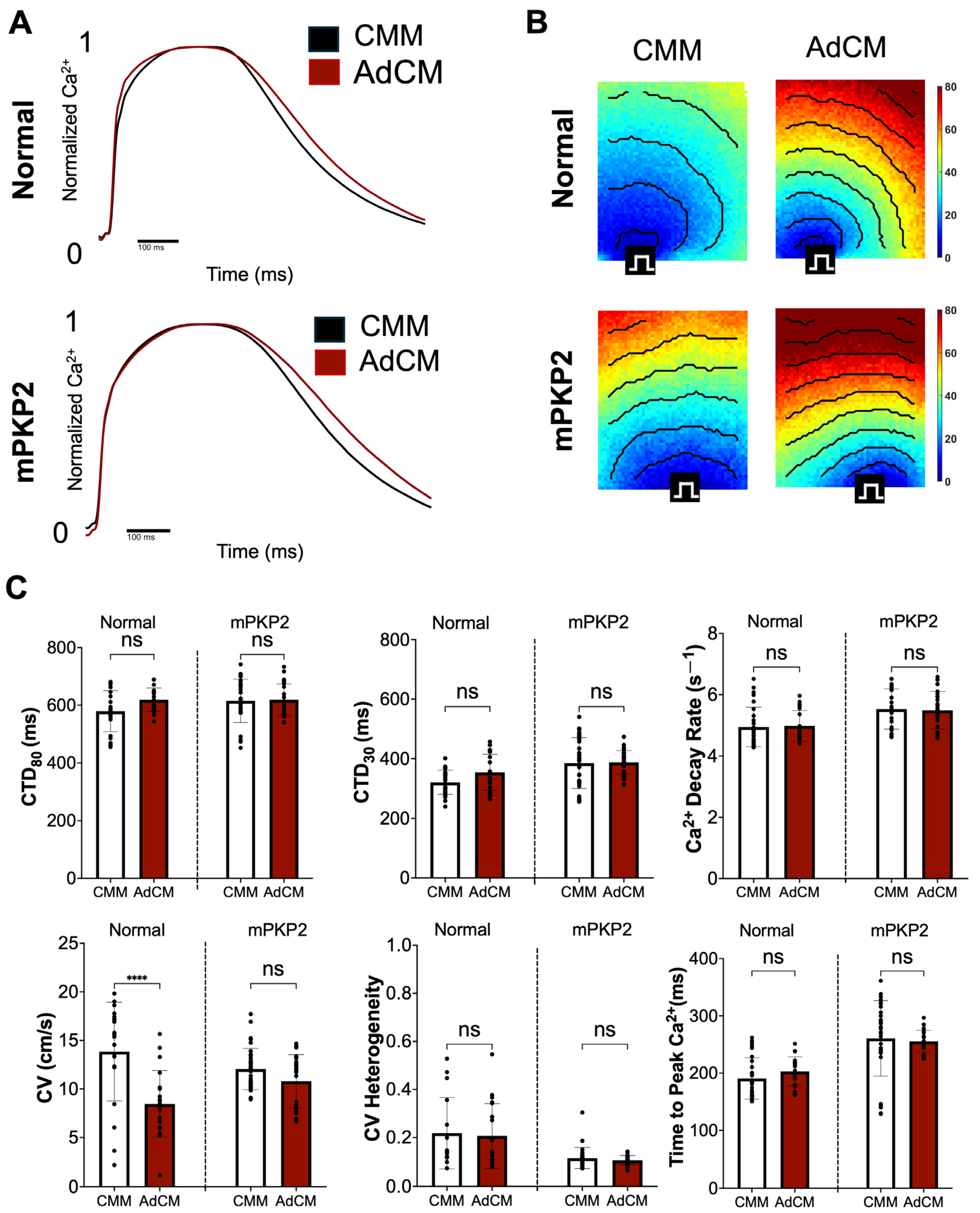Biomedicines 12 02601 g003
