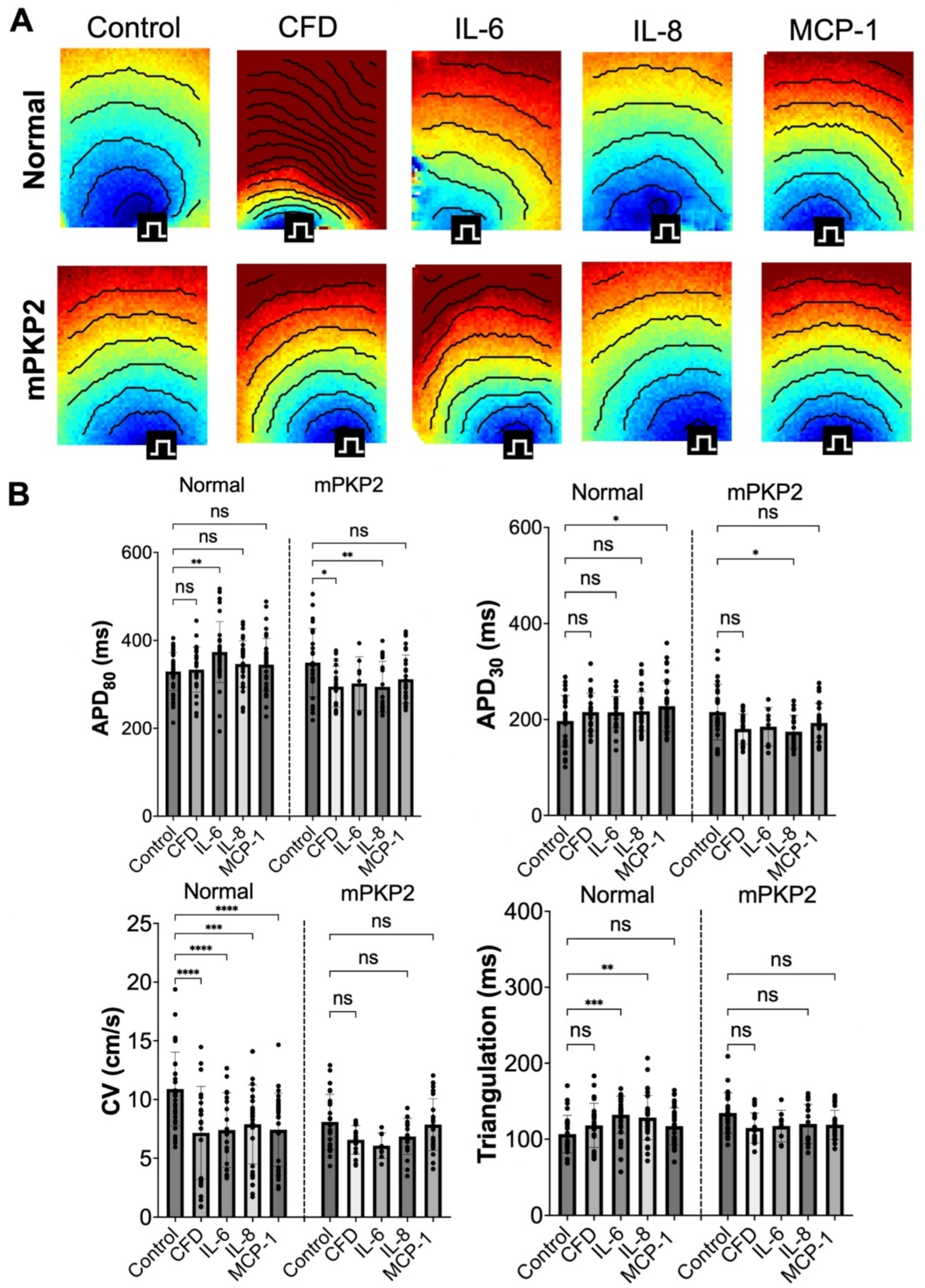 Biomedicines 12 02601 g004