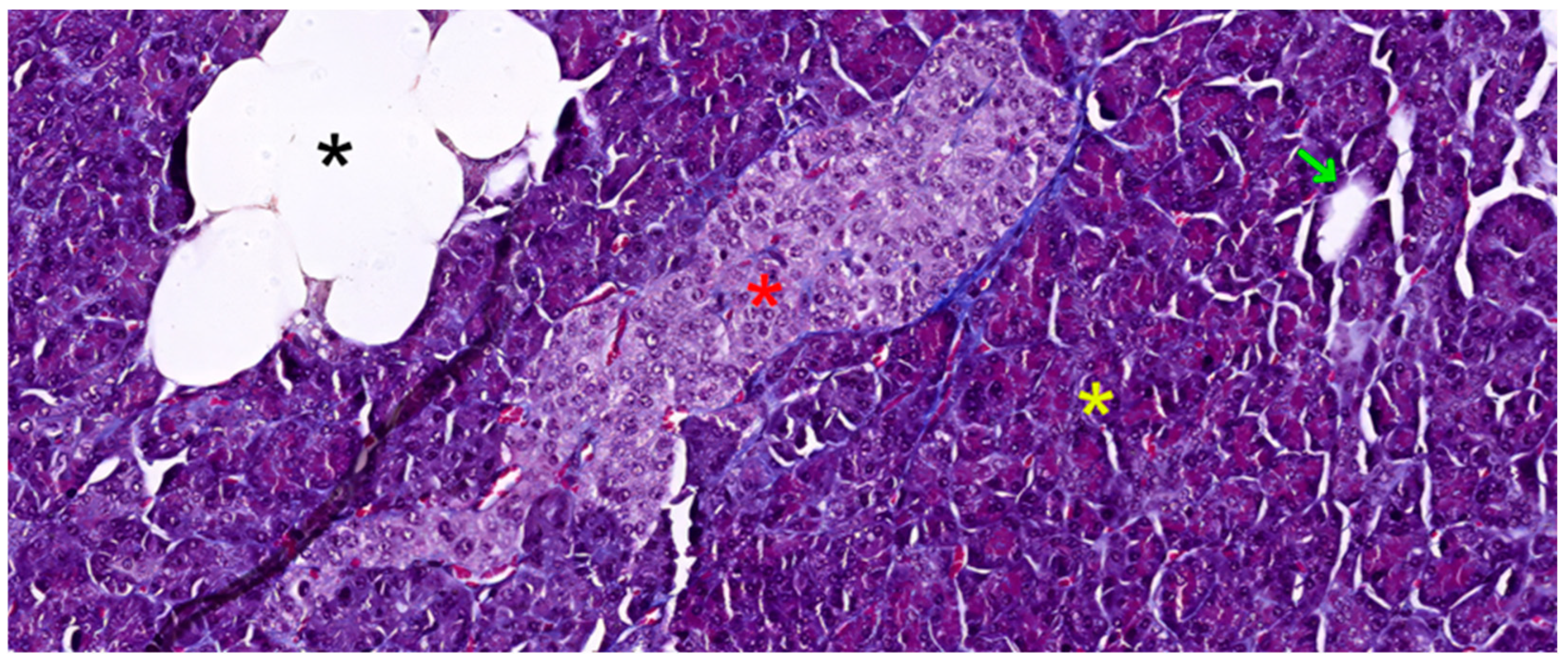 Biomedicines 12 02627 g001