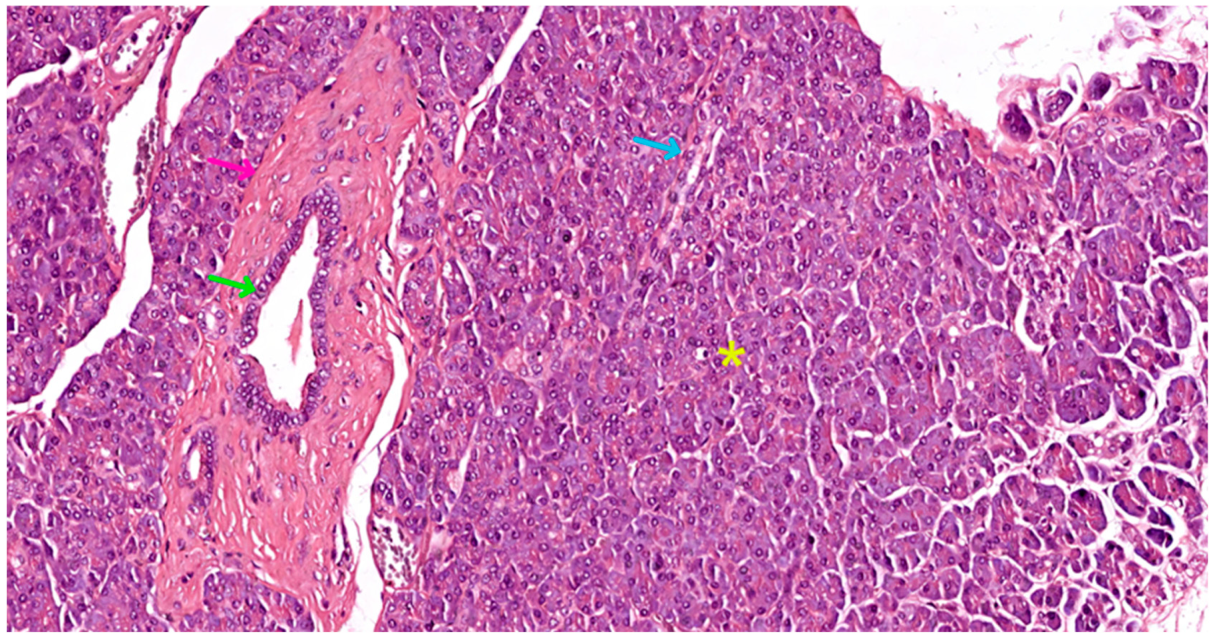 Biomedicines 12 02627 g005