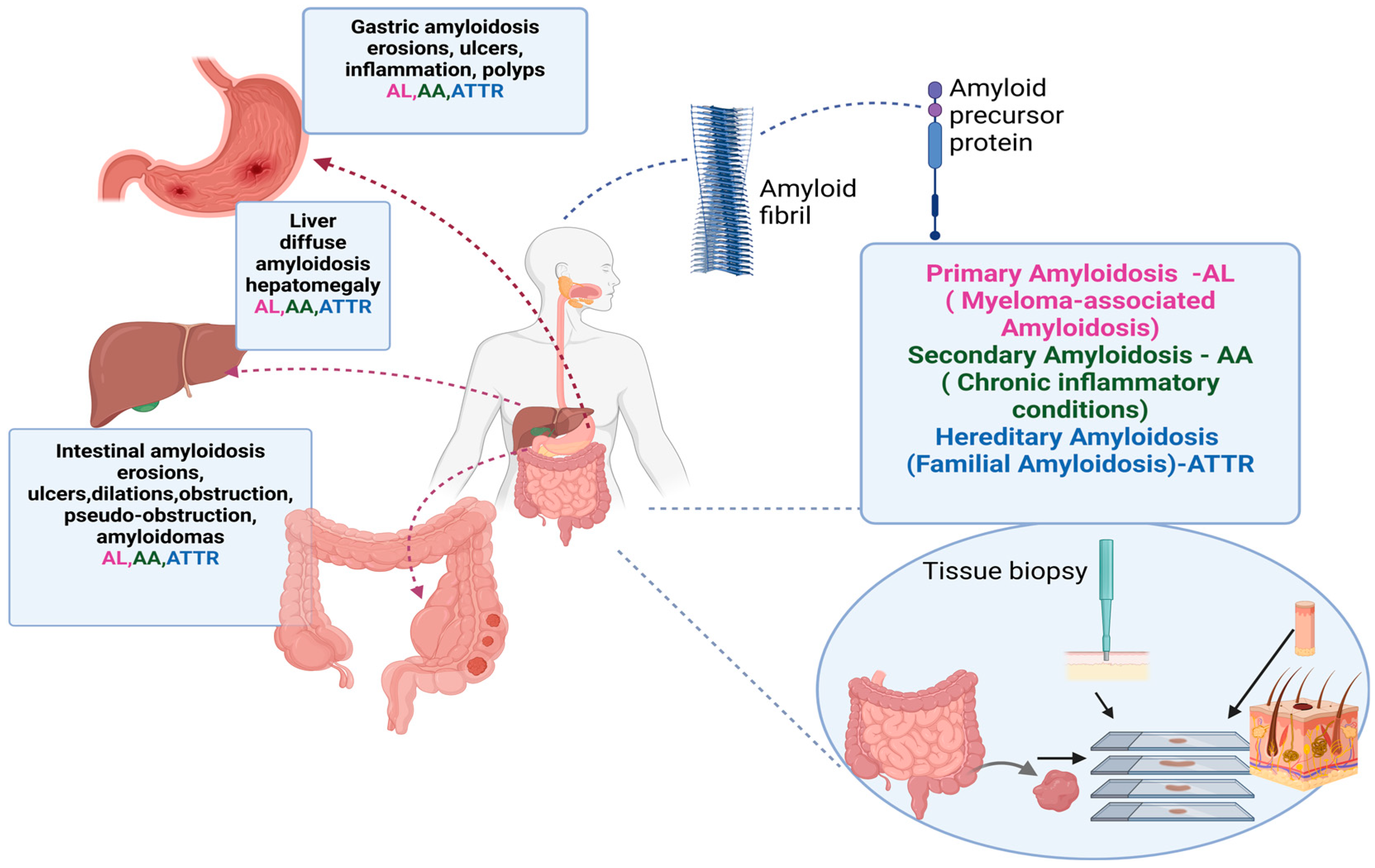 Biomedicines 12 02630 g005