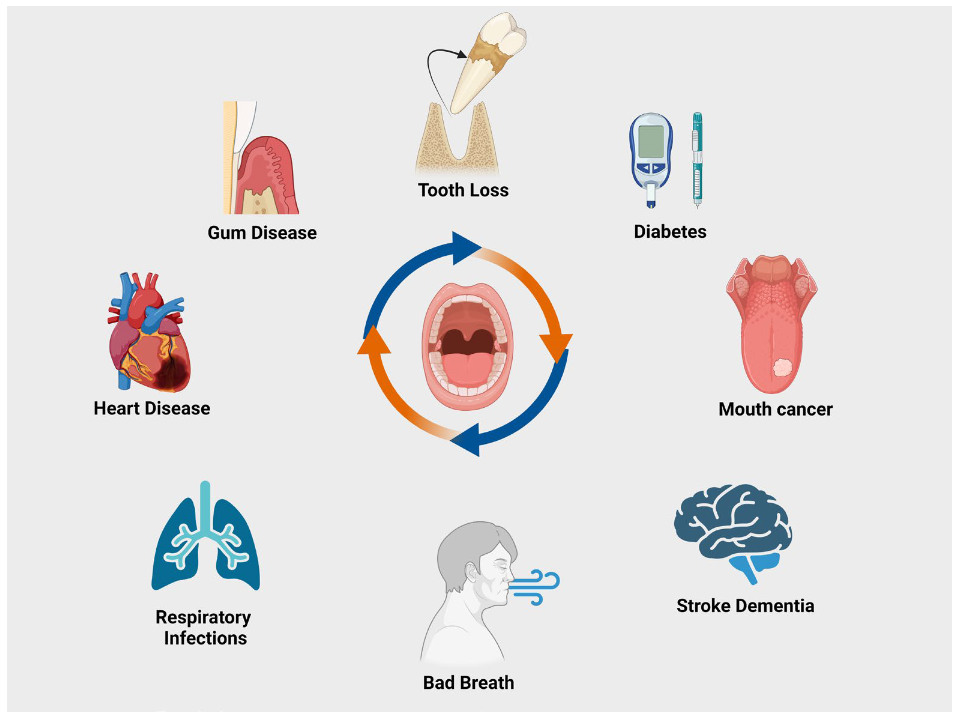 Biomedicines 12 02645 g002