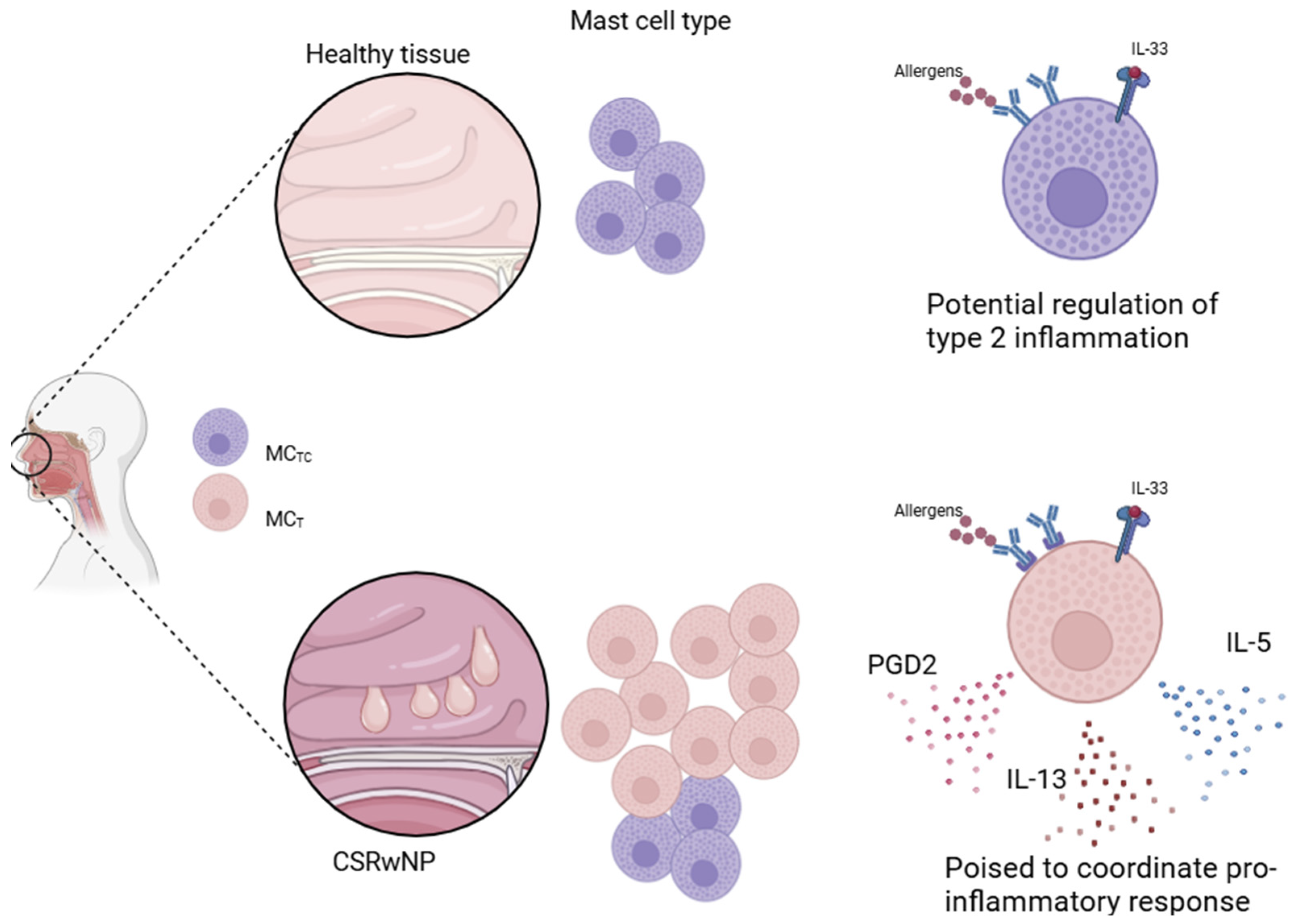 Biomedicines 12 02647 g002
