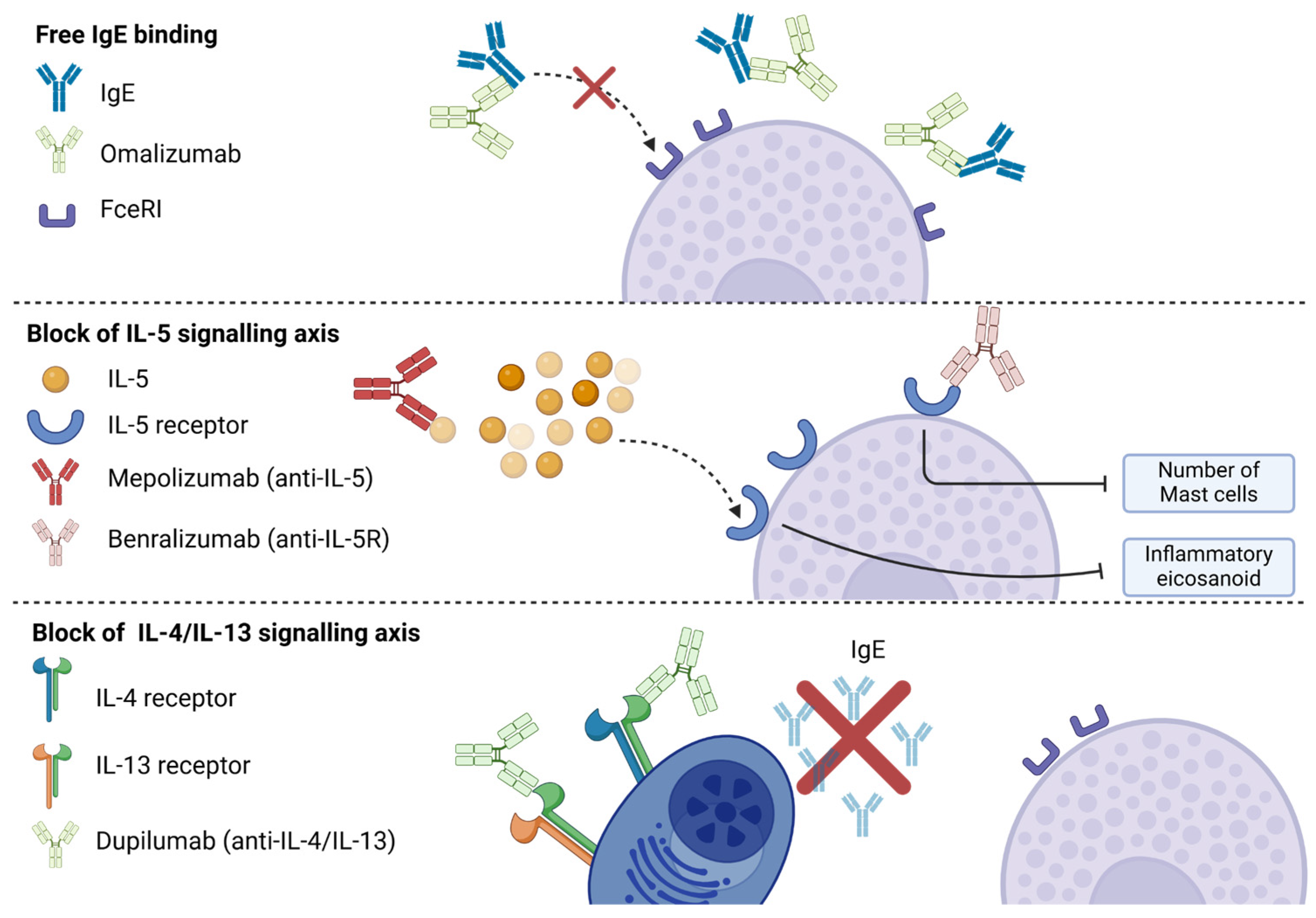 Biomedicines 12 02647 g003
