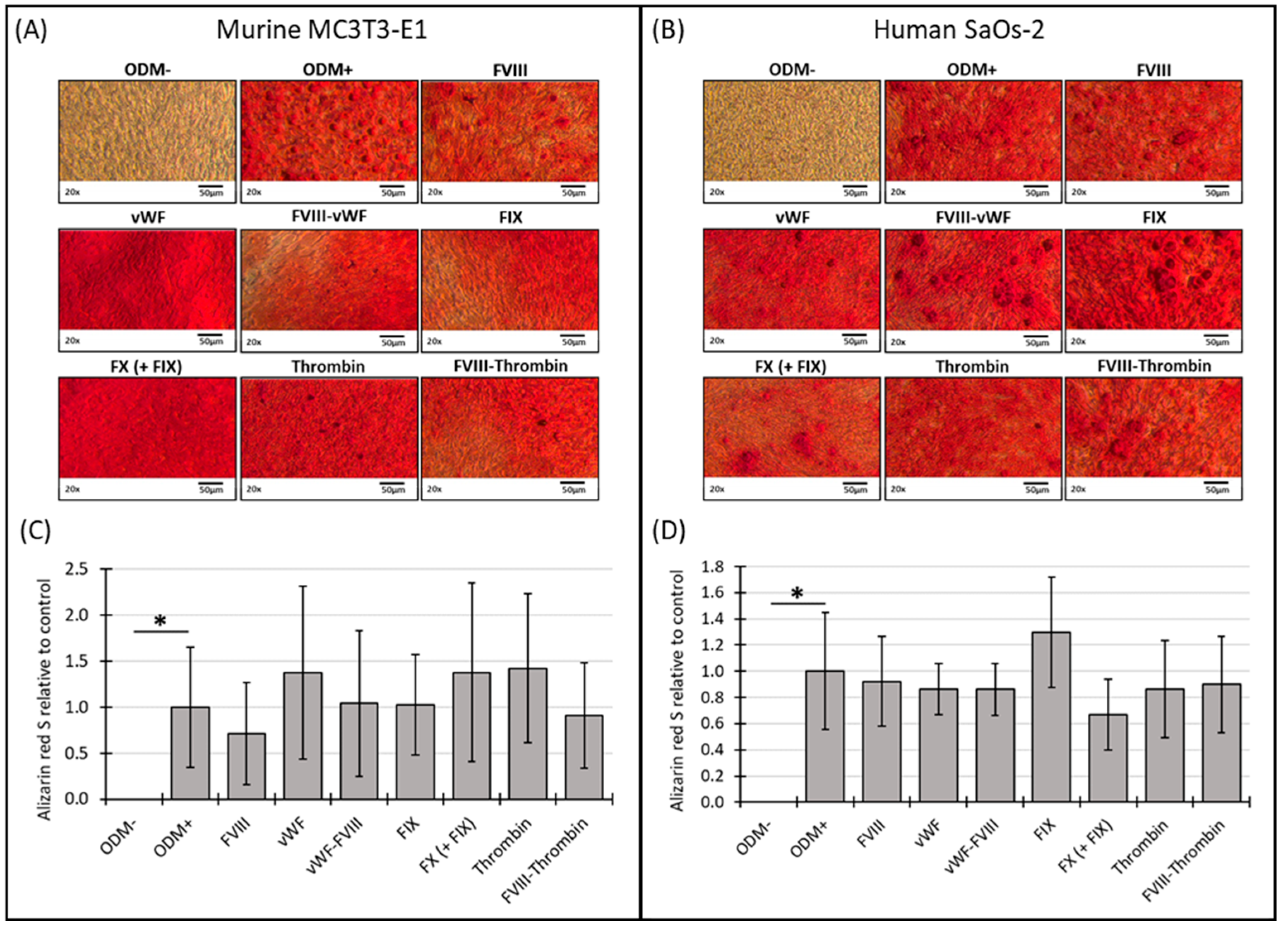 Biomedicines 12 02666 g002