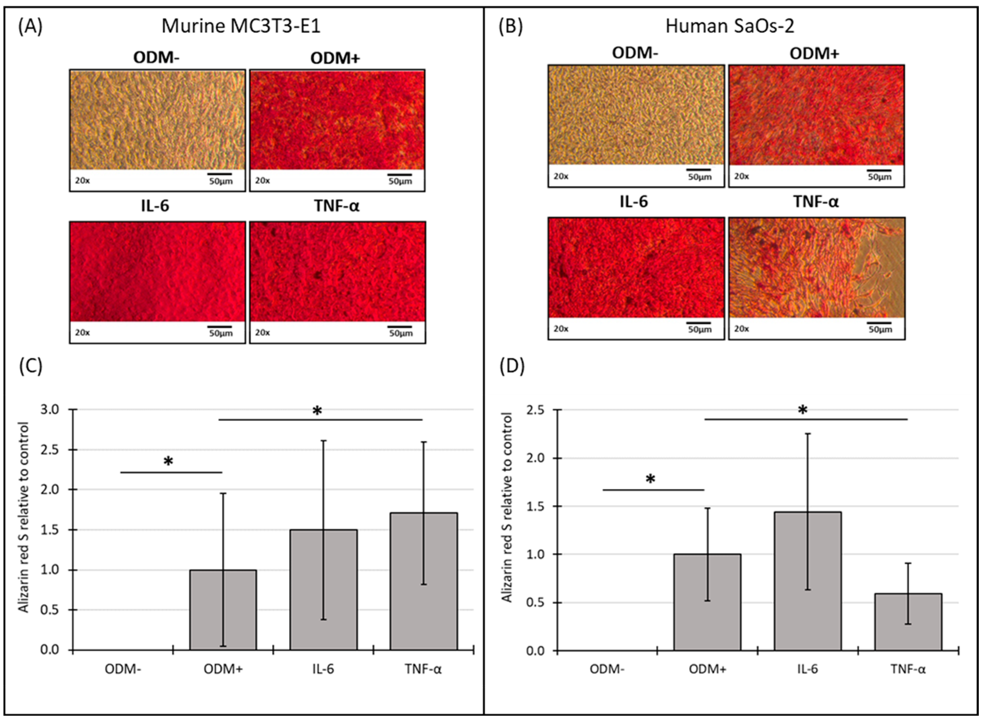 Biomedicines 12 02666 g005