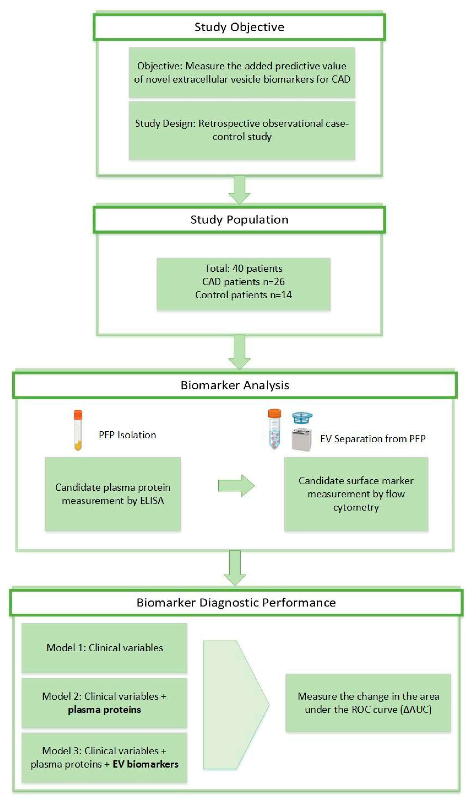 Biomedicines 12 02682 g001