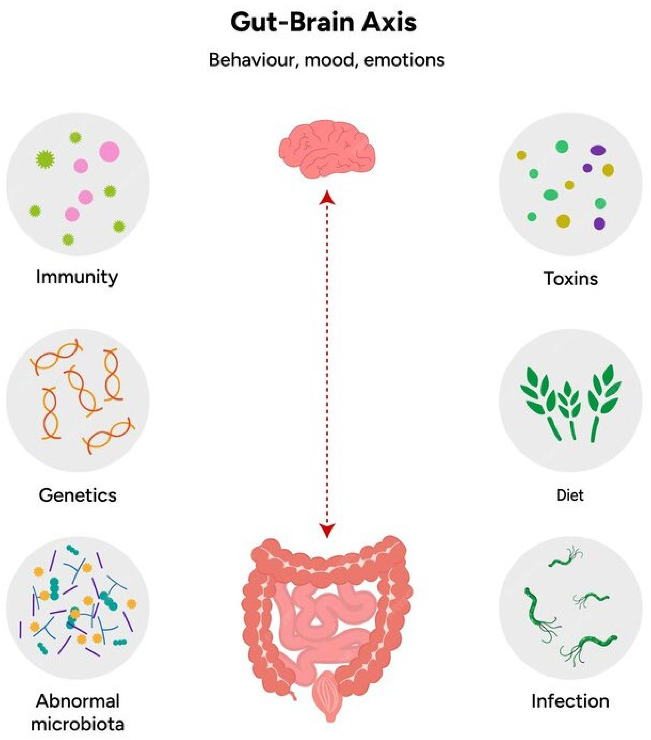 Biomedicines 12 02686 g001