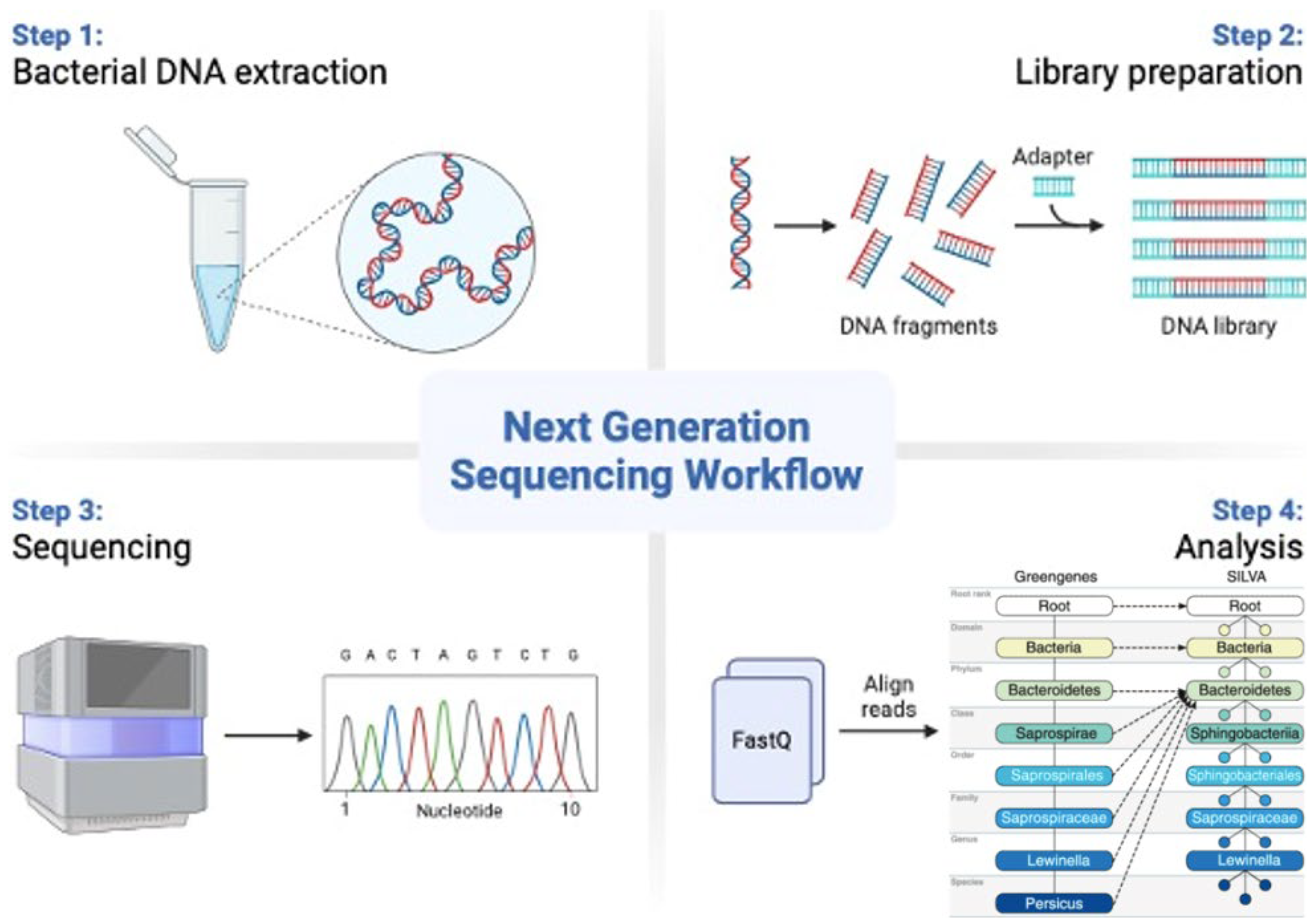 Biomedicines 12 02686 g002