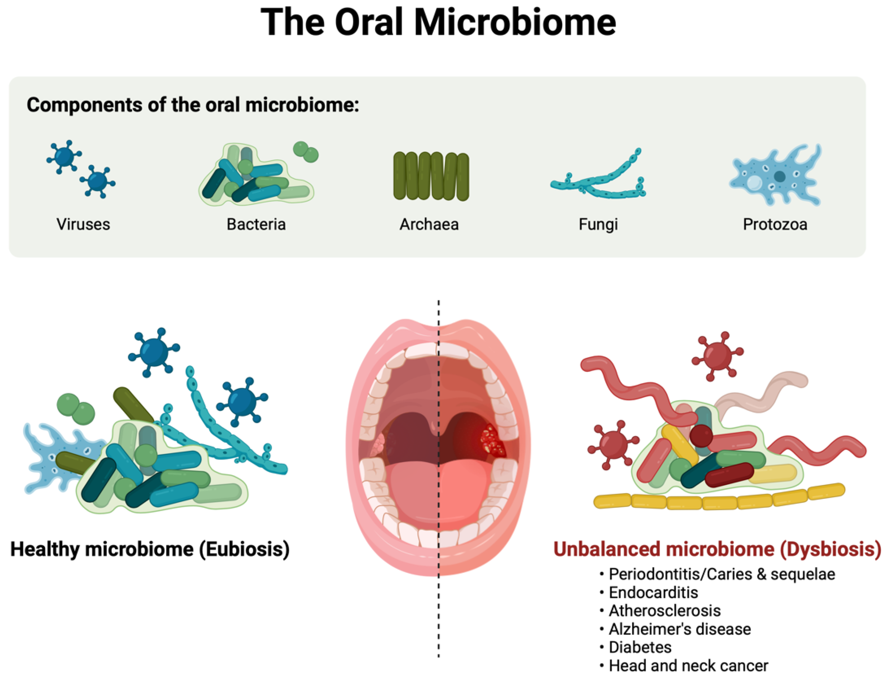 Biomedicines 12 02686 g003