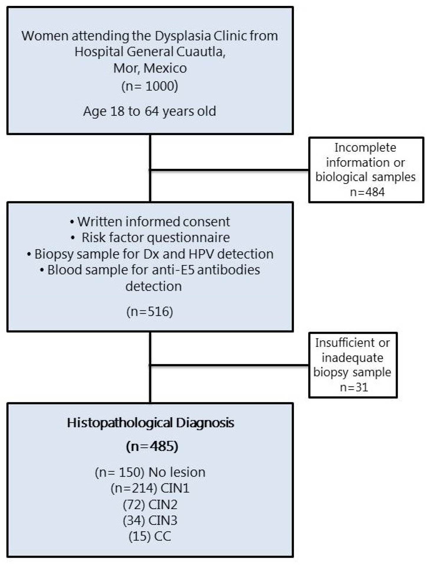 Biomedicines 12 02699 g001