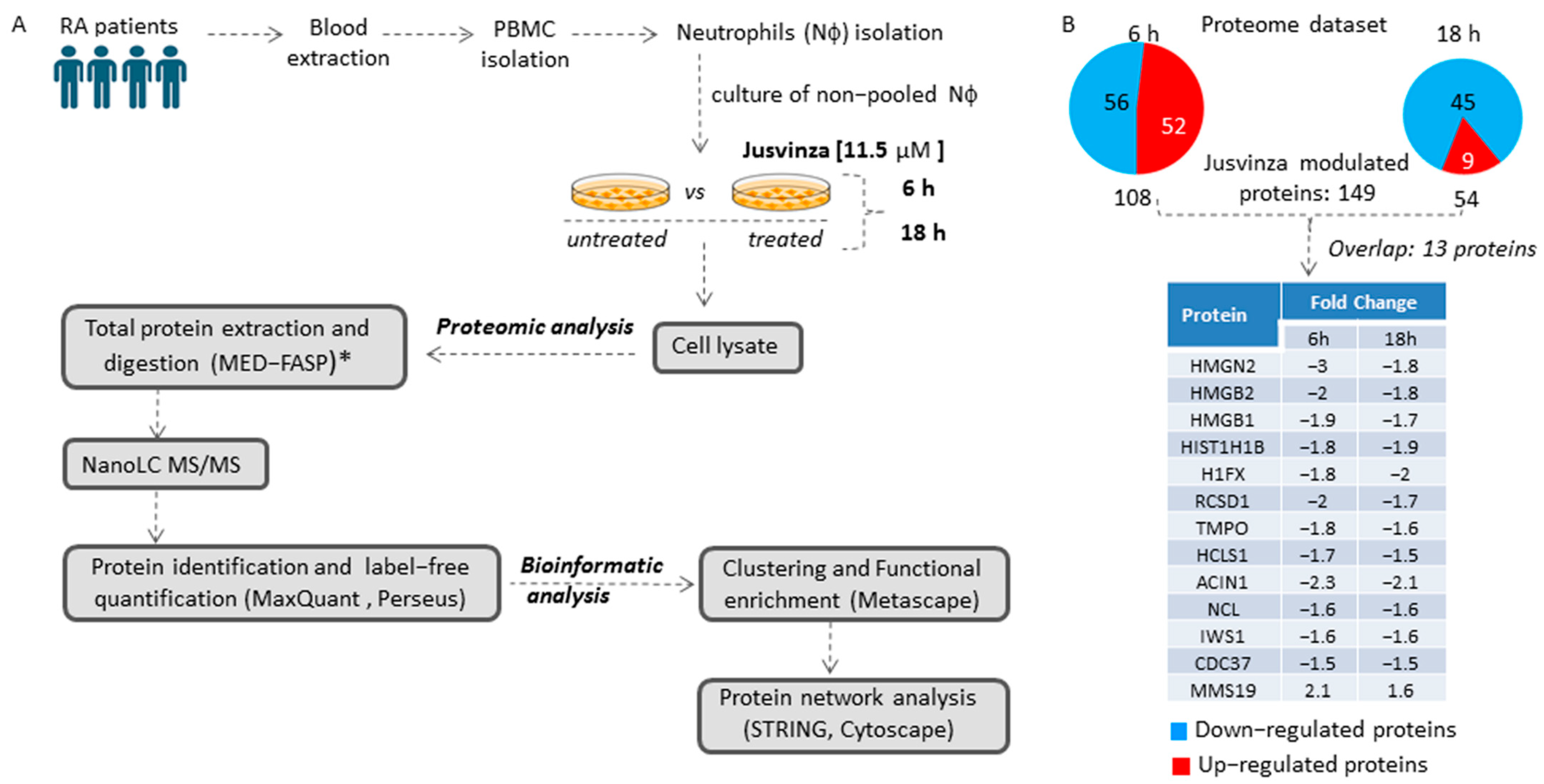 Biomedicines 12 02740 g001