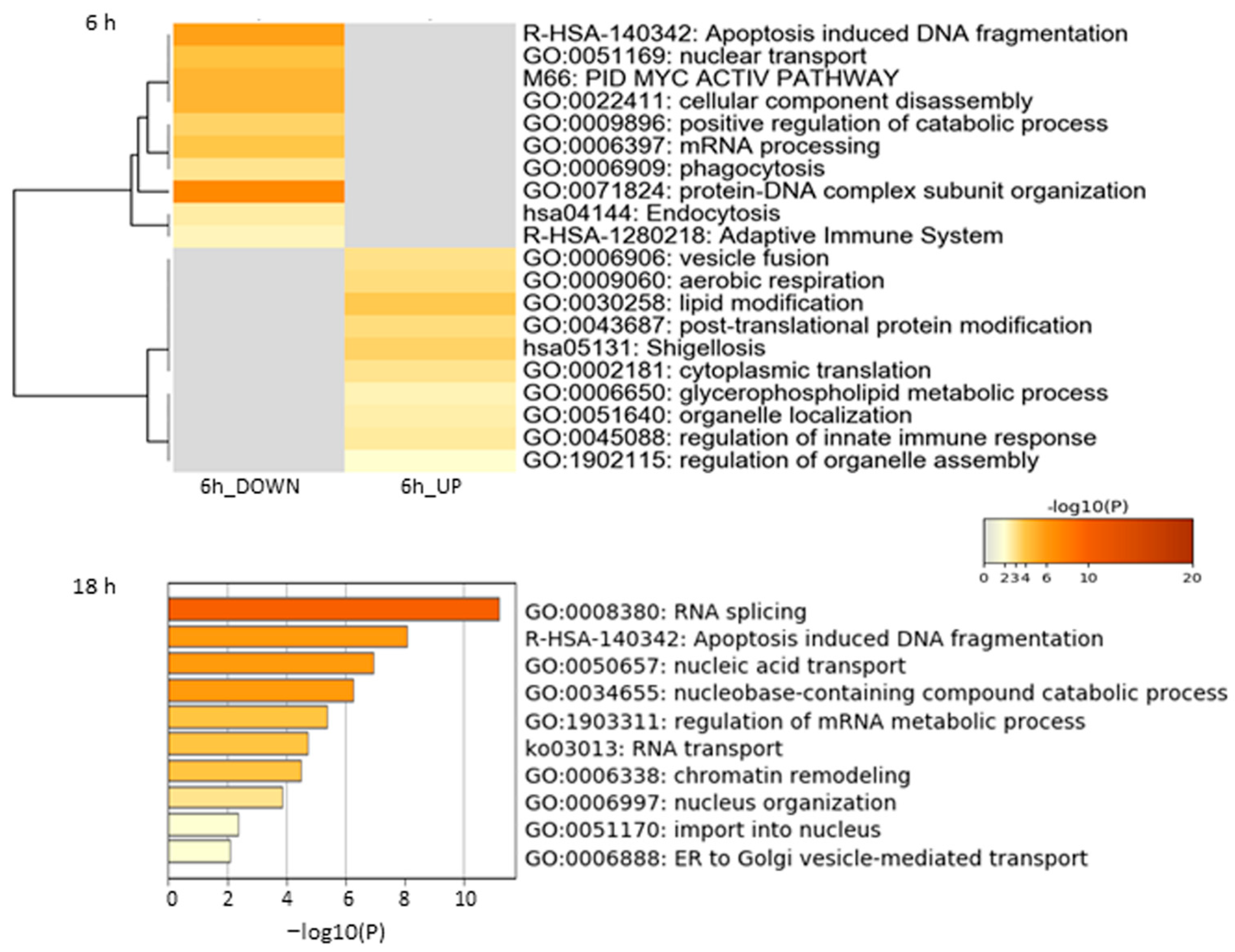 Biomedicines 12 02740 g002