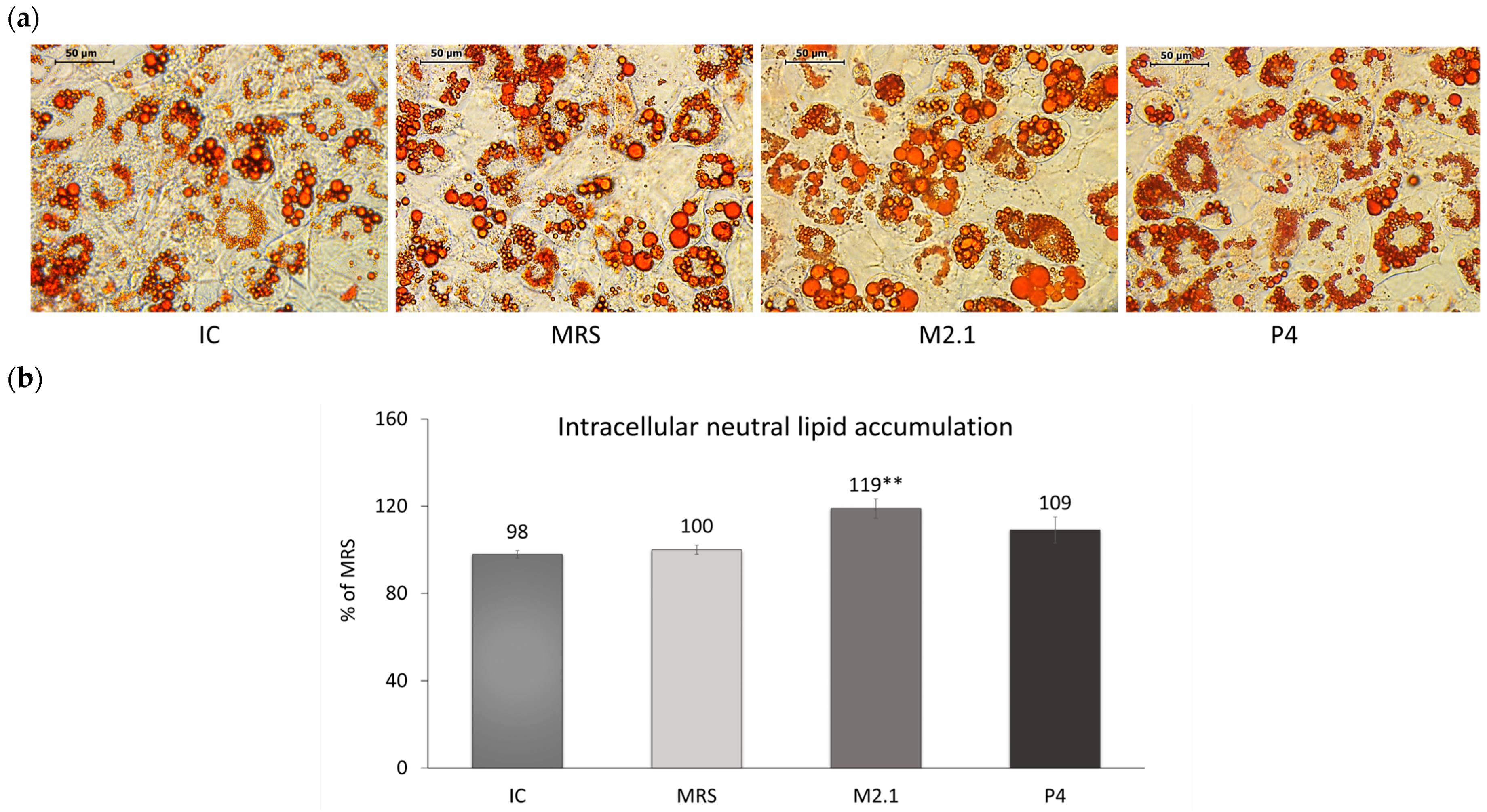 Biomedicines 12 02785 g002