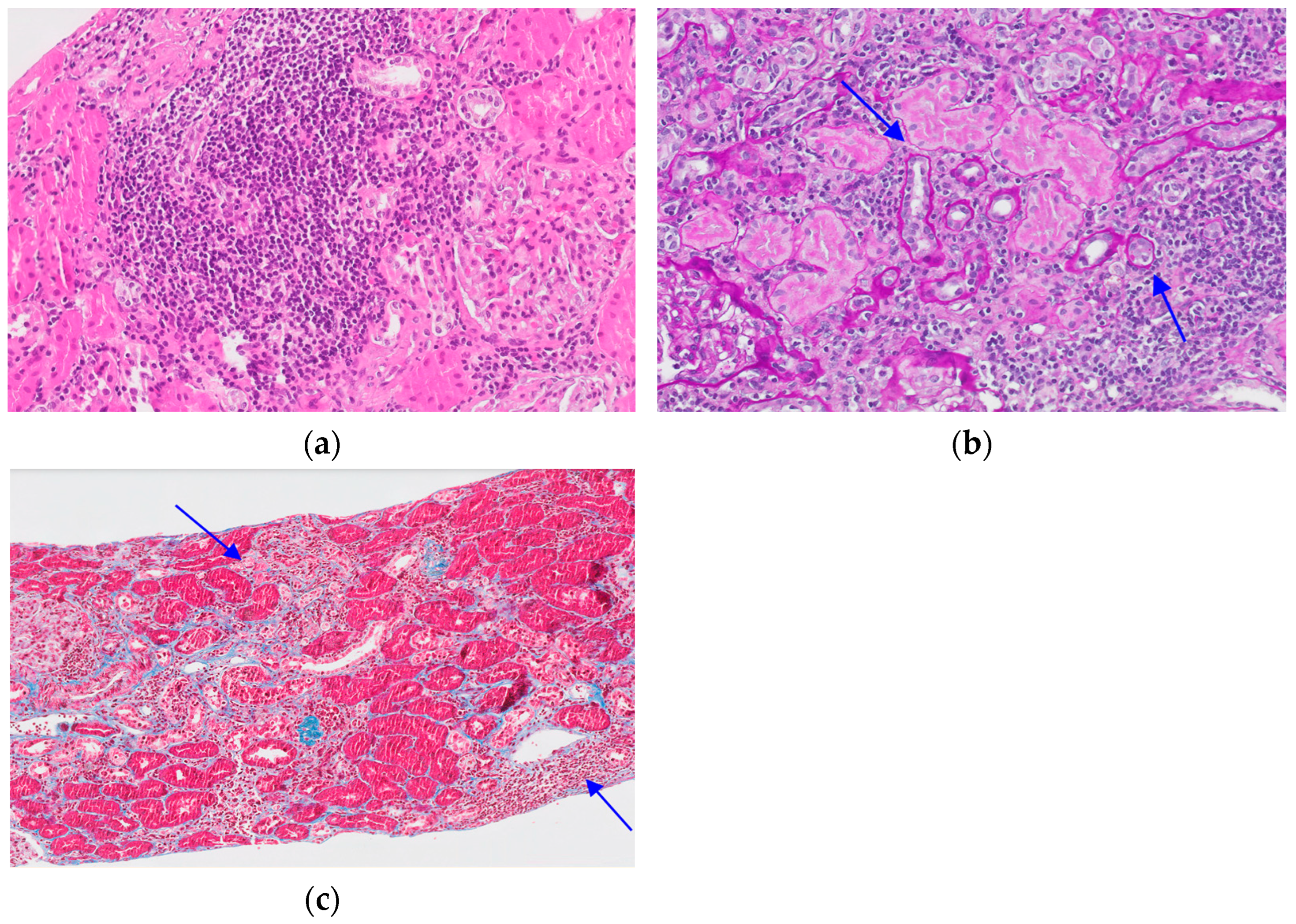 Biomedicines 12 02836 g001