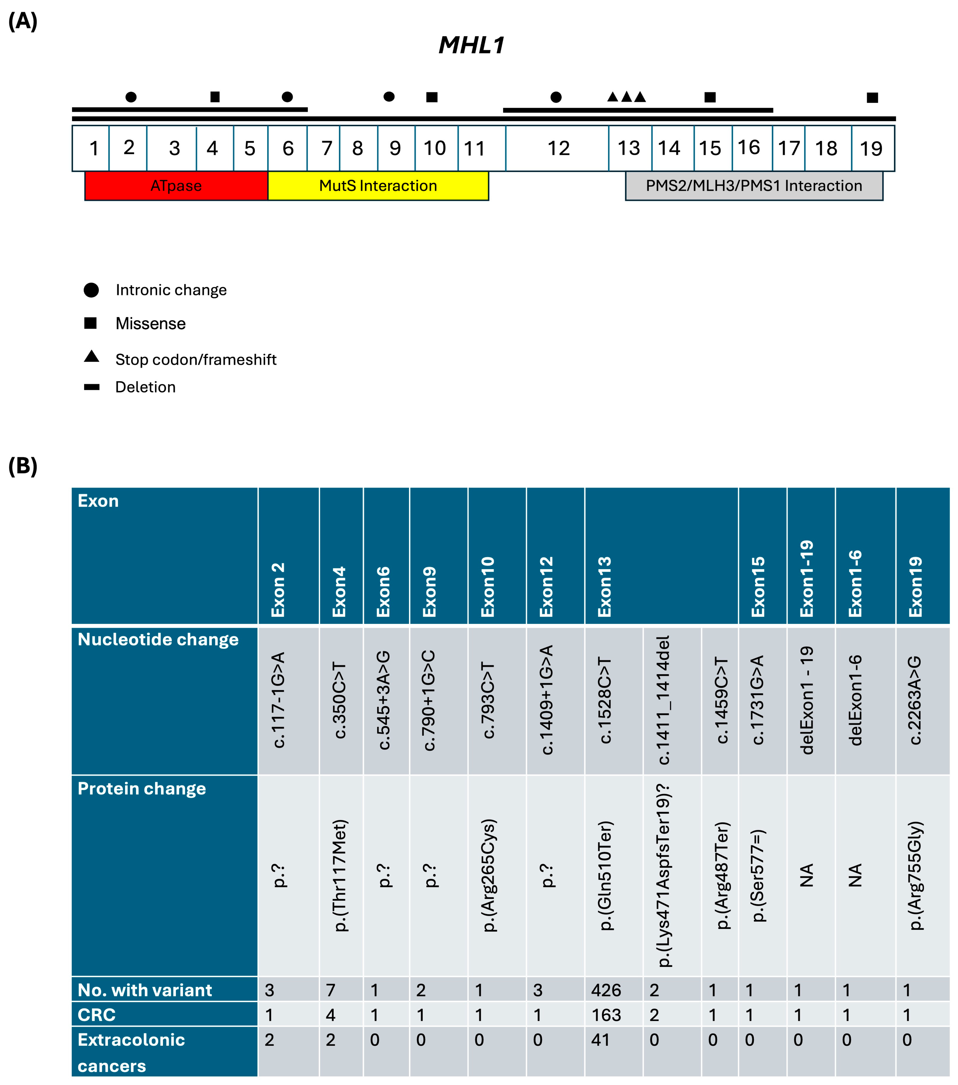 Biomedicines 12 02906 g002 Biomedicines 12 02906 g002