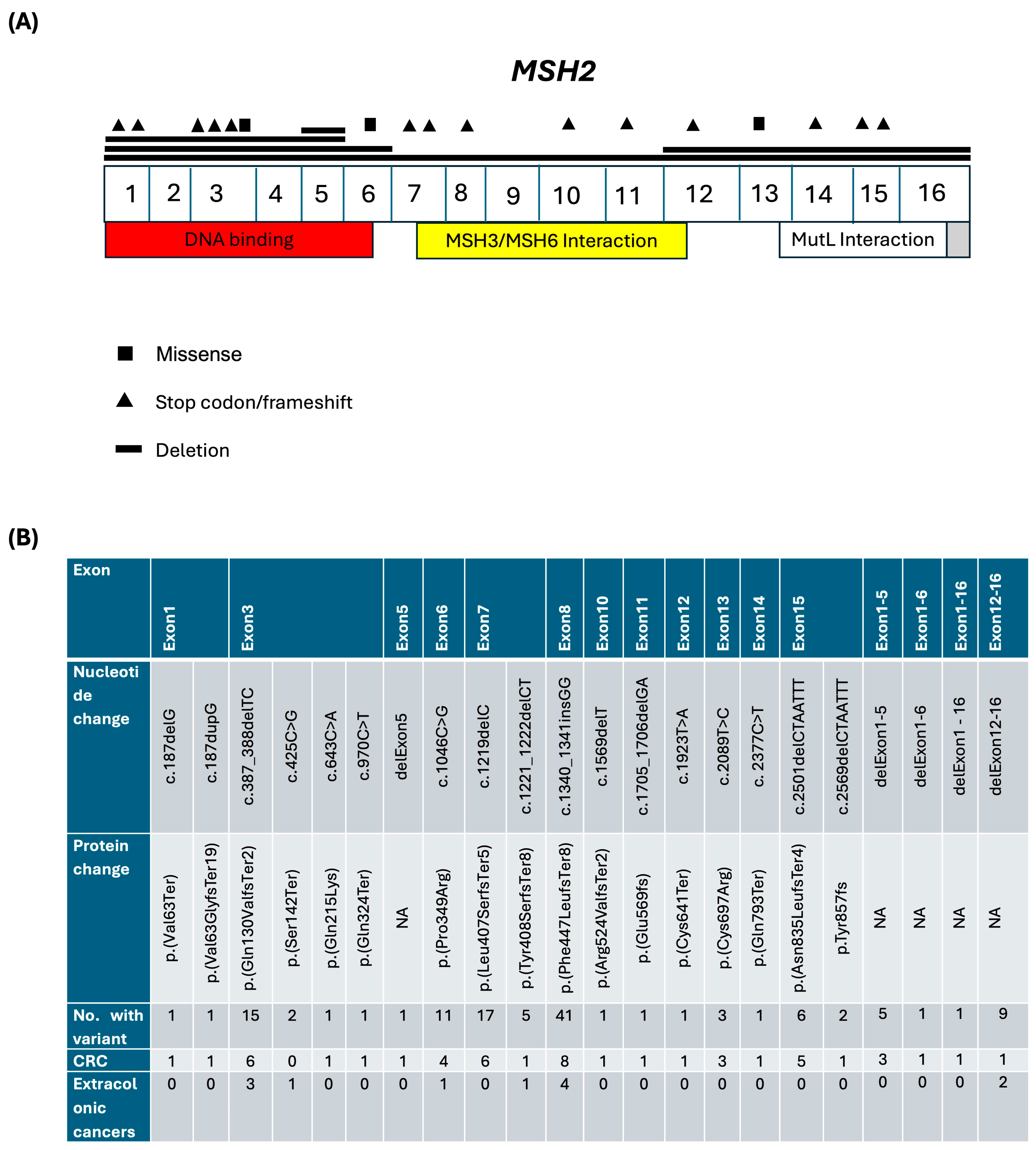Biomedicines 12 02906 g003 Biomedicines 12 02906 g003
