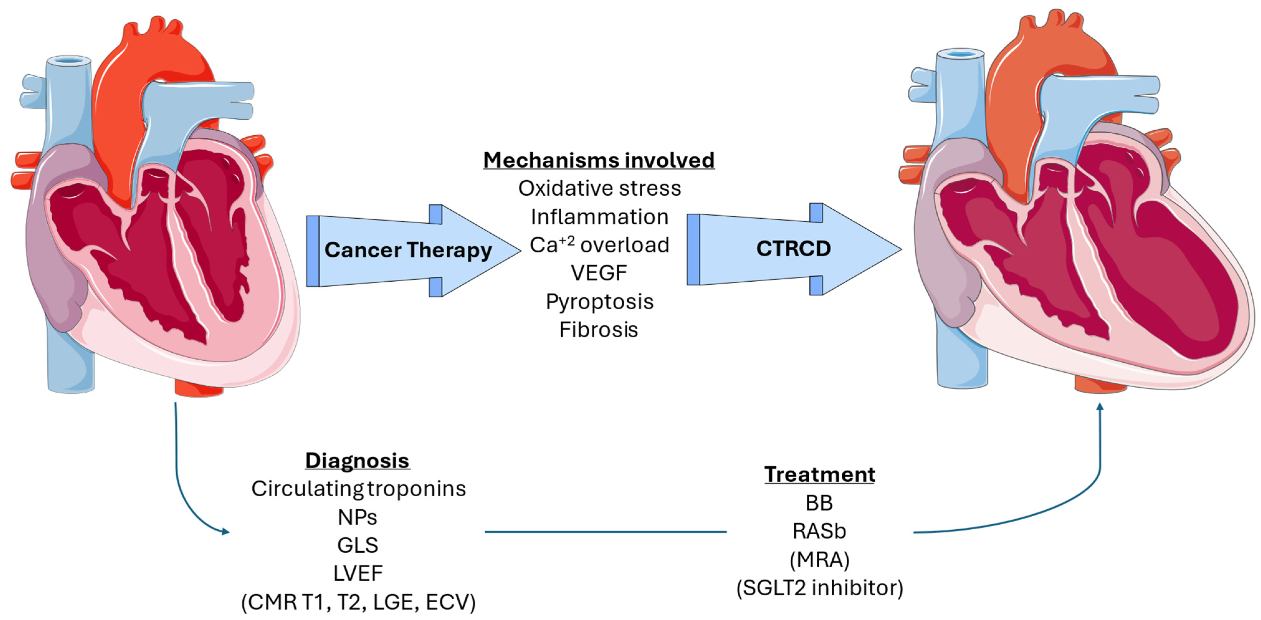 Biomedicines 12 02914 g001