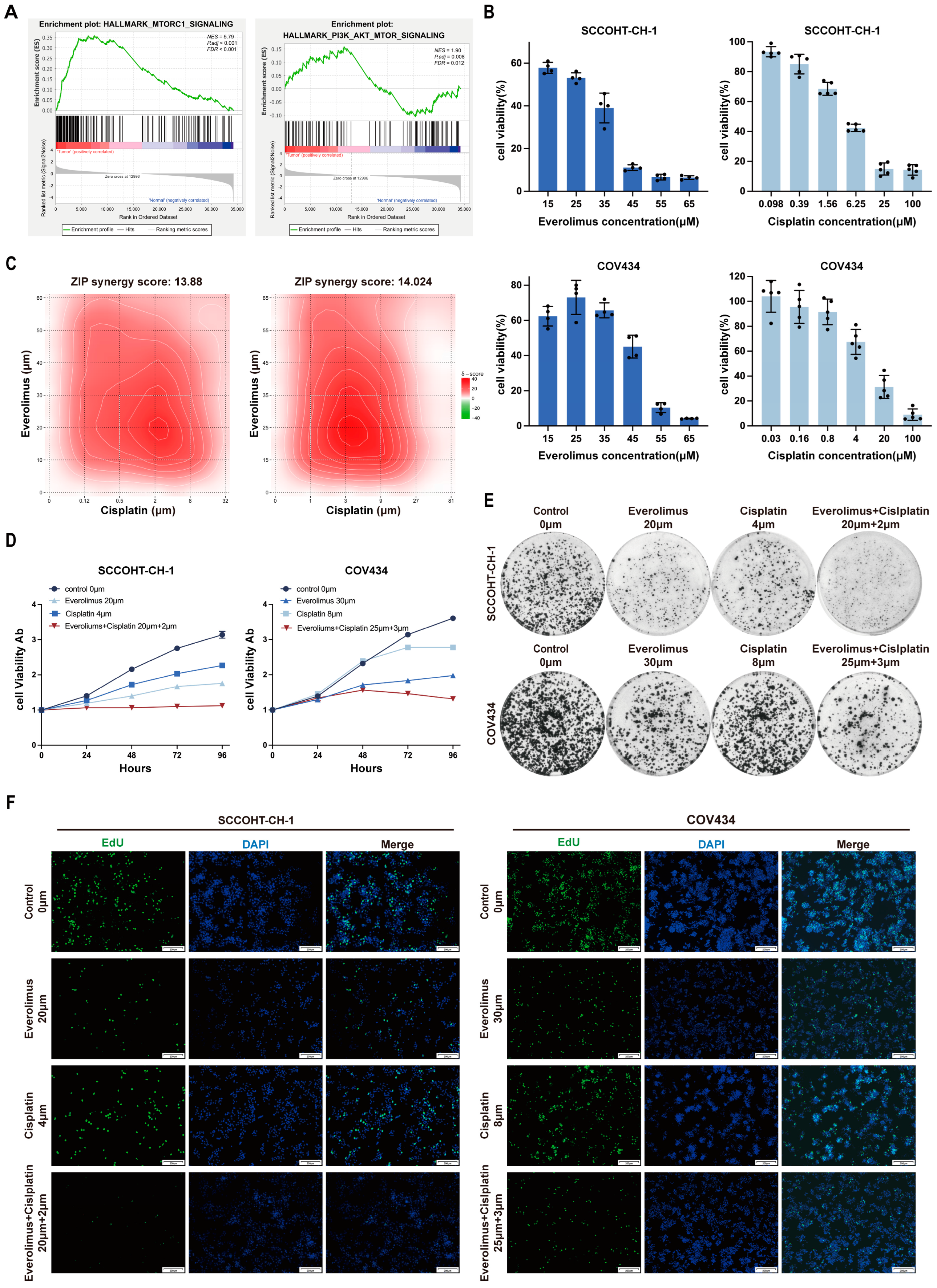 mTOR Inhibitor Everolimus Modulates Tumor Growth in Small-Cell ...