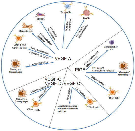 Biomedicines 13 00006 g001