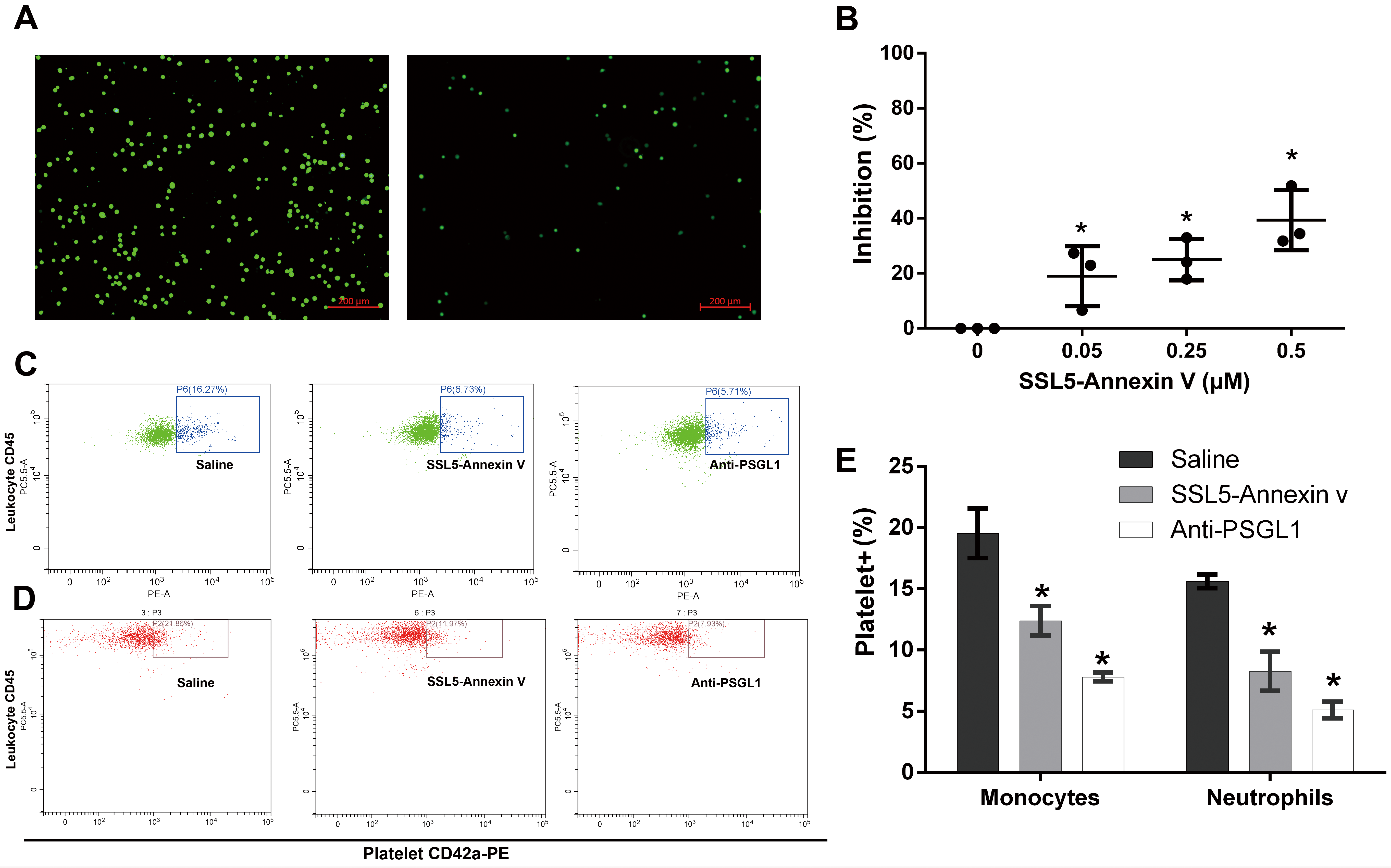 Biomedicines 13 00008 g005